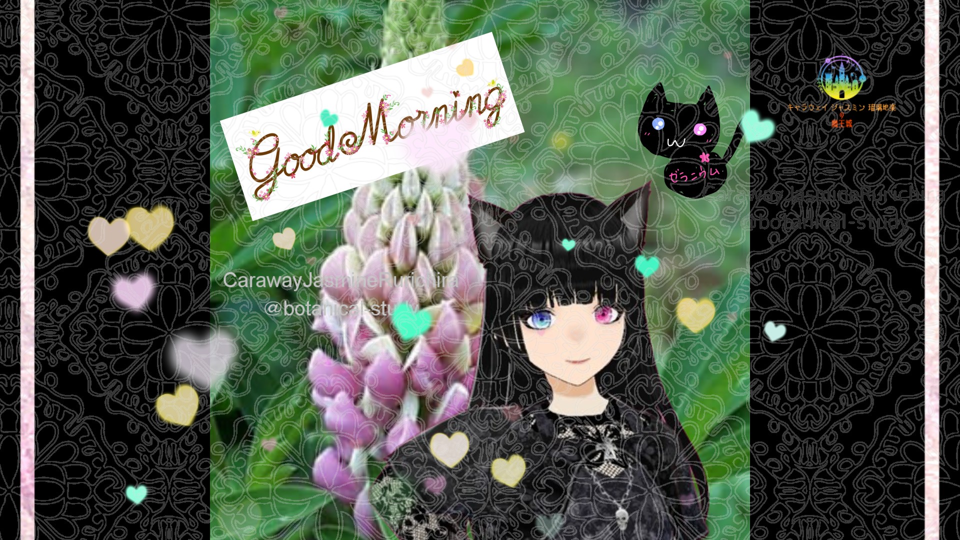 「ルピナス」とCジャスミン瑠璃地楽の今日の誕生花B-5月30日＠botanical-study