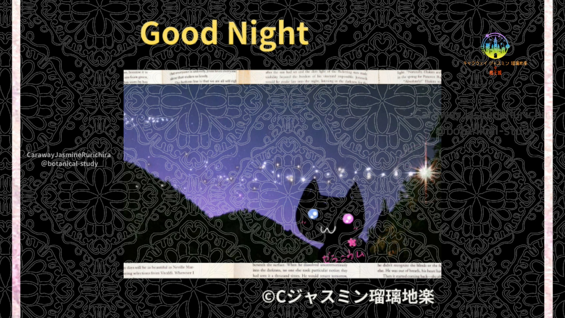 おやすみYE1 017＠botanical-study