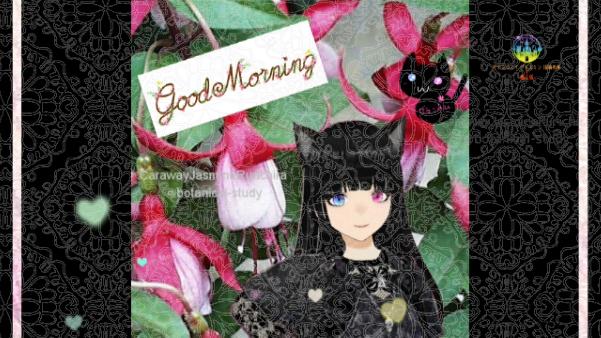 「フクシア」とCジャスミン瑠璃地楽の今日の誕生花B-5月22日＠botanical-study