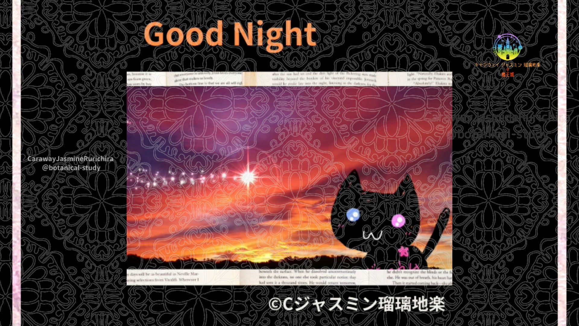 おやすみOR1 016＠botanical-study