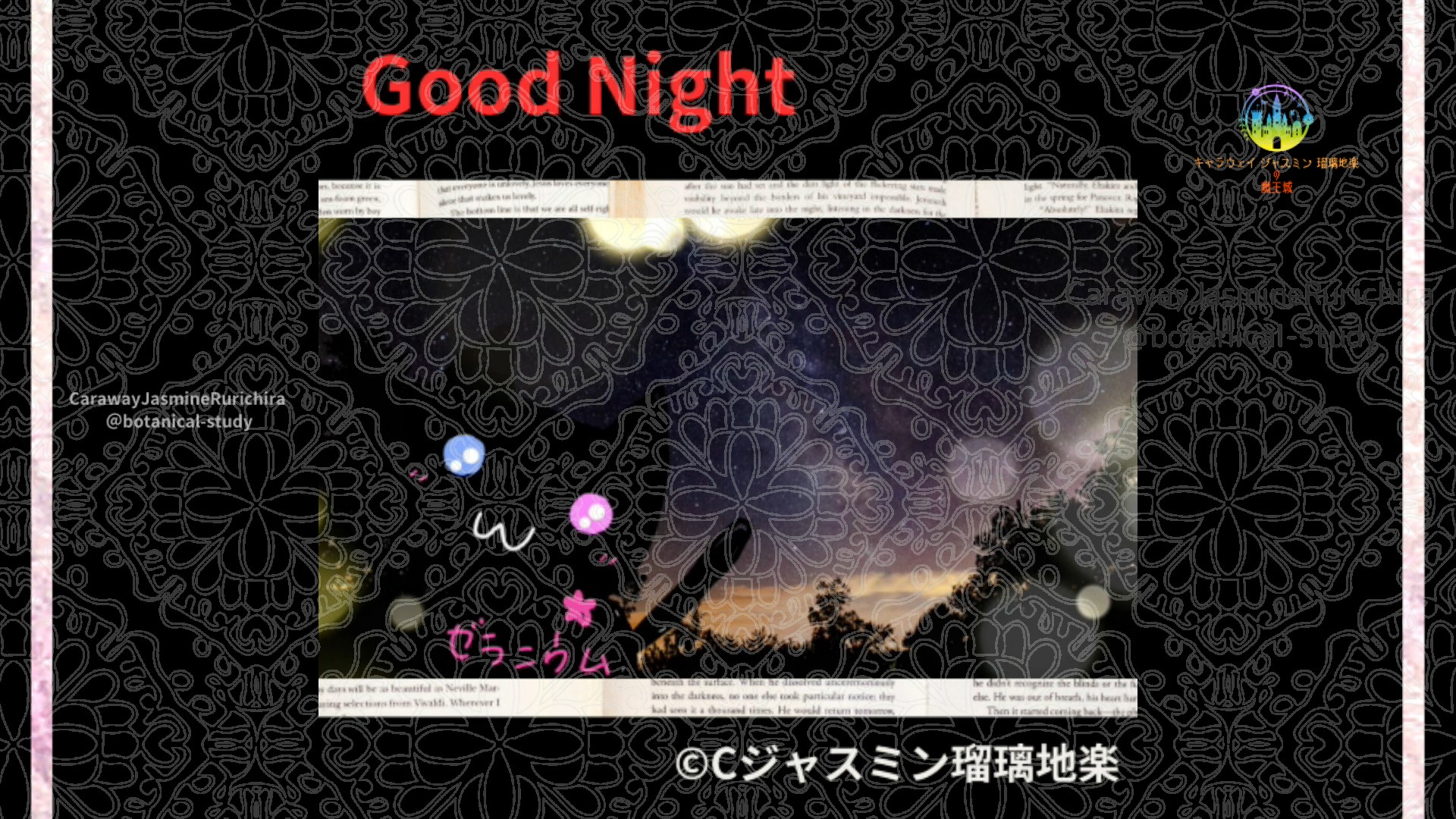 おやすみRD1 015＠botanical-study