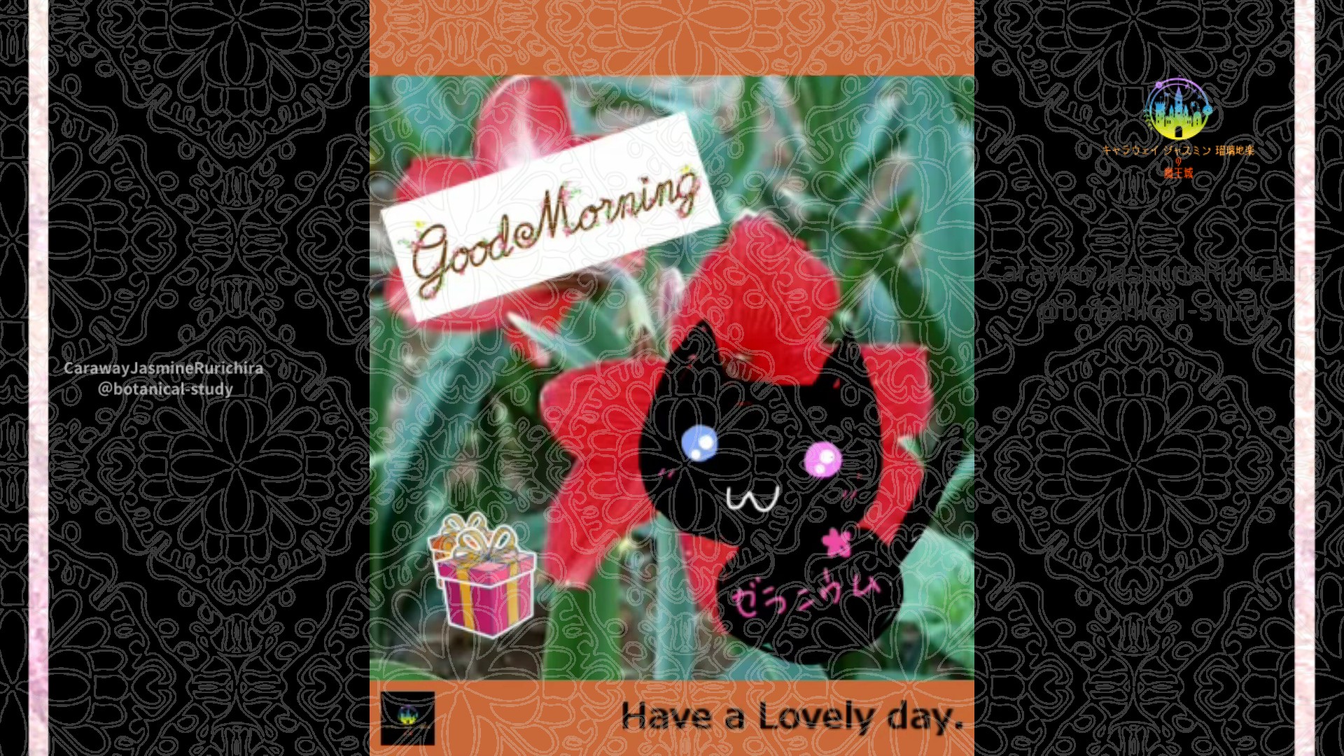 「」5月30日Rゼラニウム瑠璃地楽と今日の誕生花とおはようメッセージ＠botanical-study