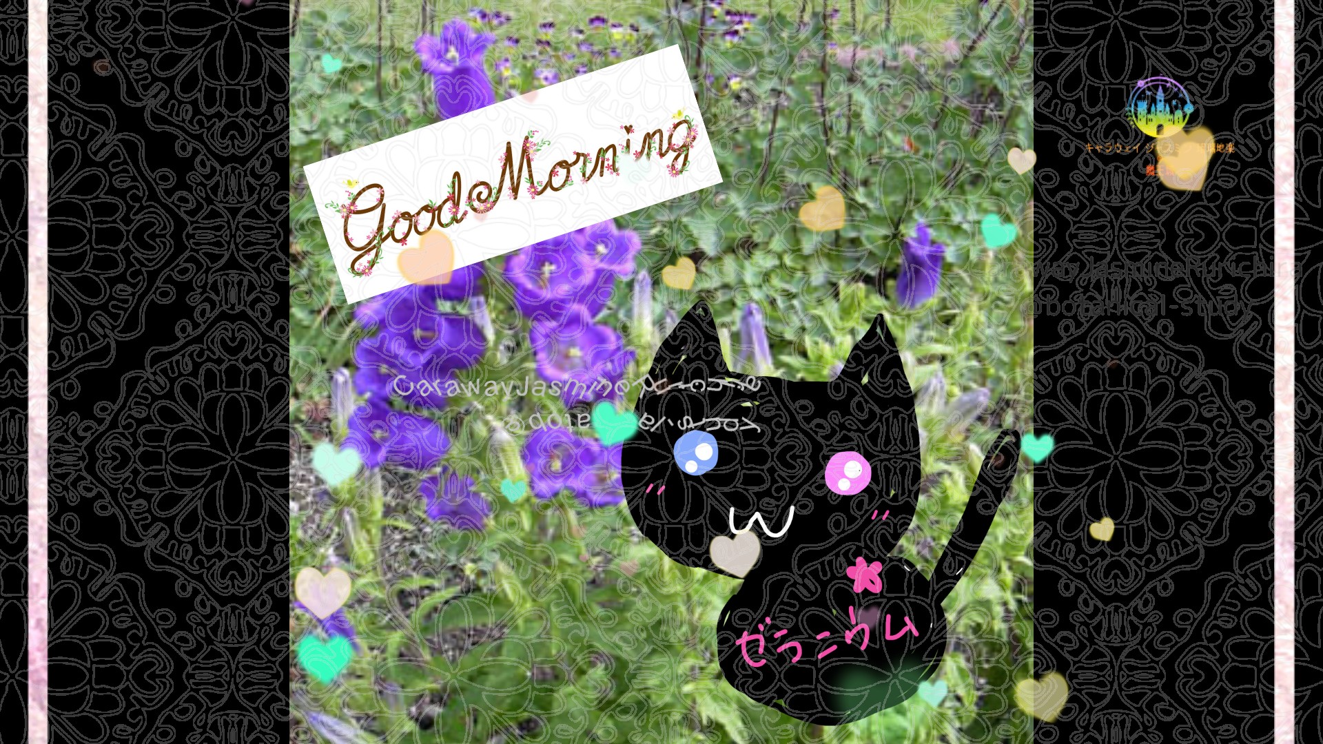 「カンパニュラ」とCジャスミン瑠璃地楽の今日の誕生花B-5月15日＠botanical-study