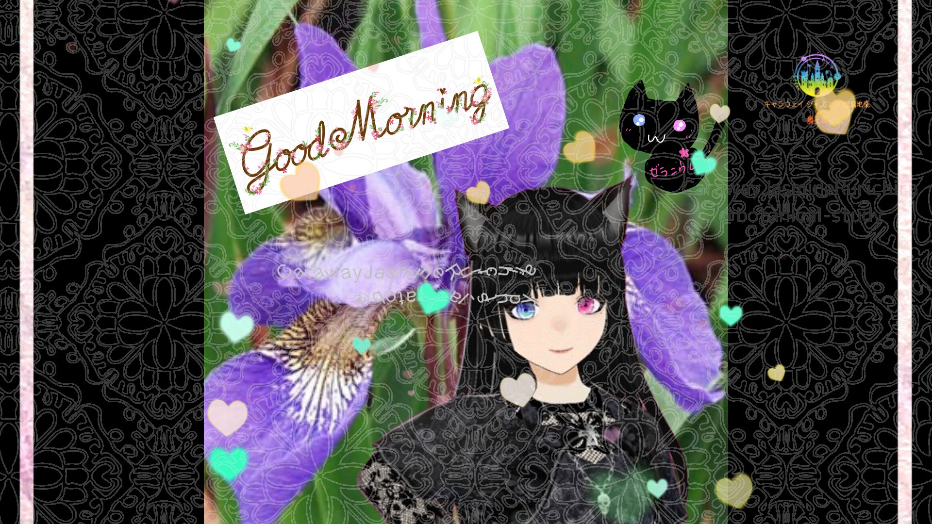 「アヤメ」とCジャスミン瑠璃地楽の今日の誕生花B-5月5日＠botanical-study