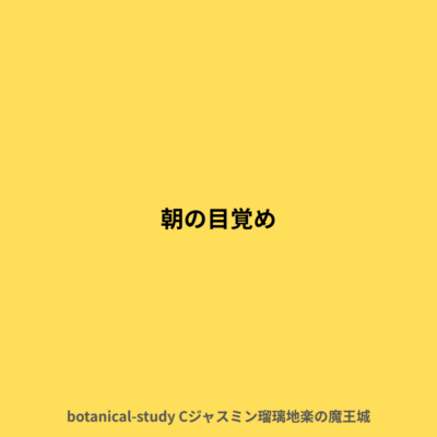 朝の目覚めに