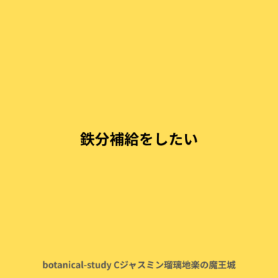 鉄分補給をしたい