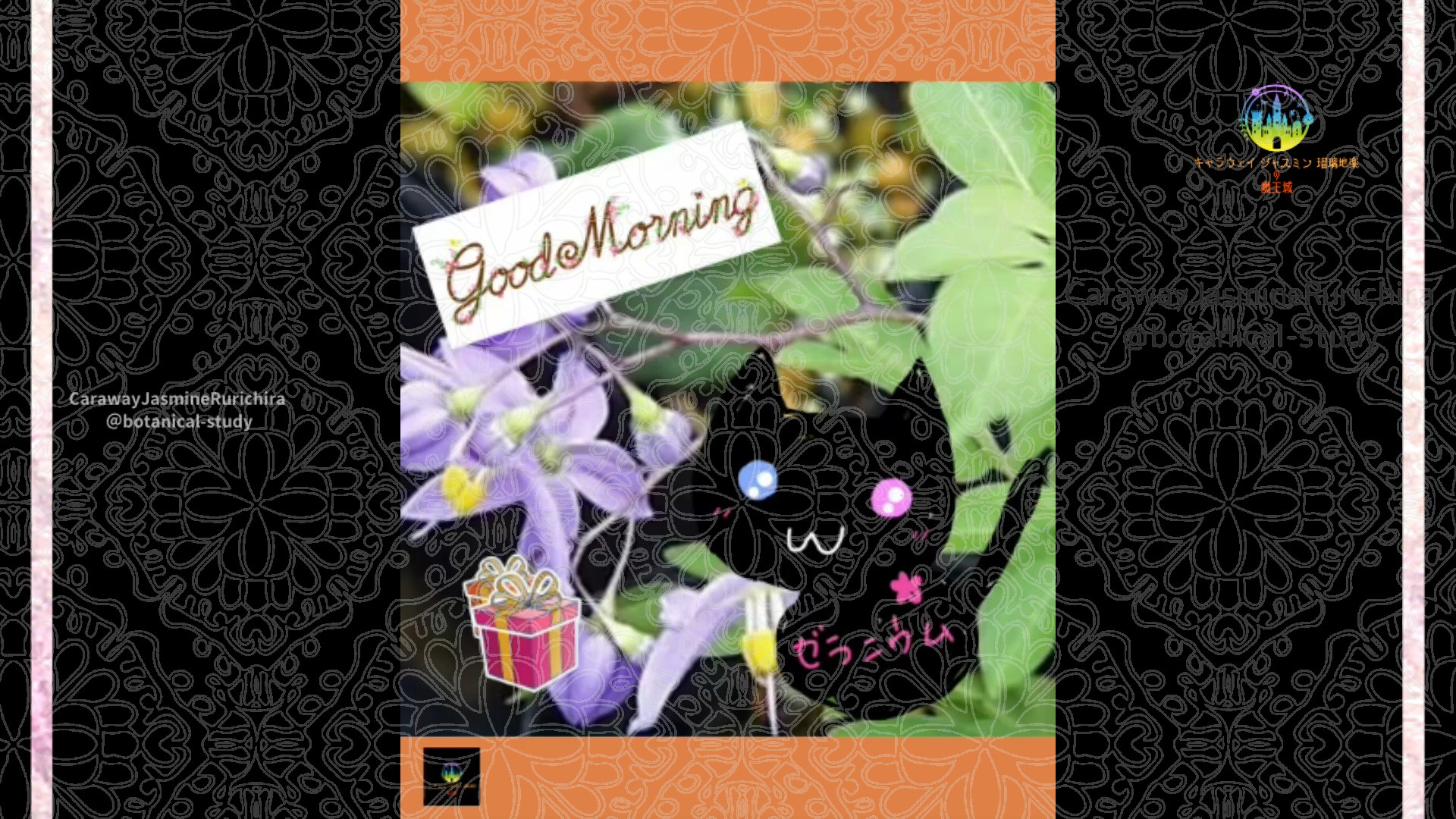 「ツルハナナス」6月28日Rゼラニウム瑠璃地楽と今日の誕生花とおはようメッセージ@botanical-study
