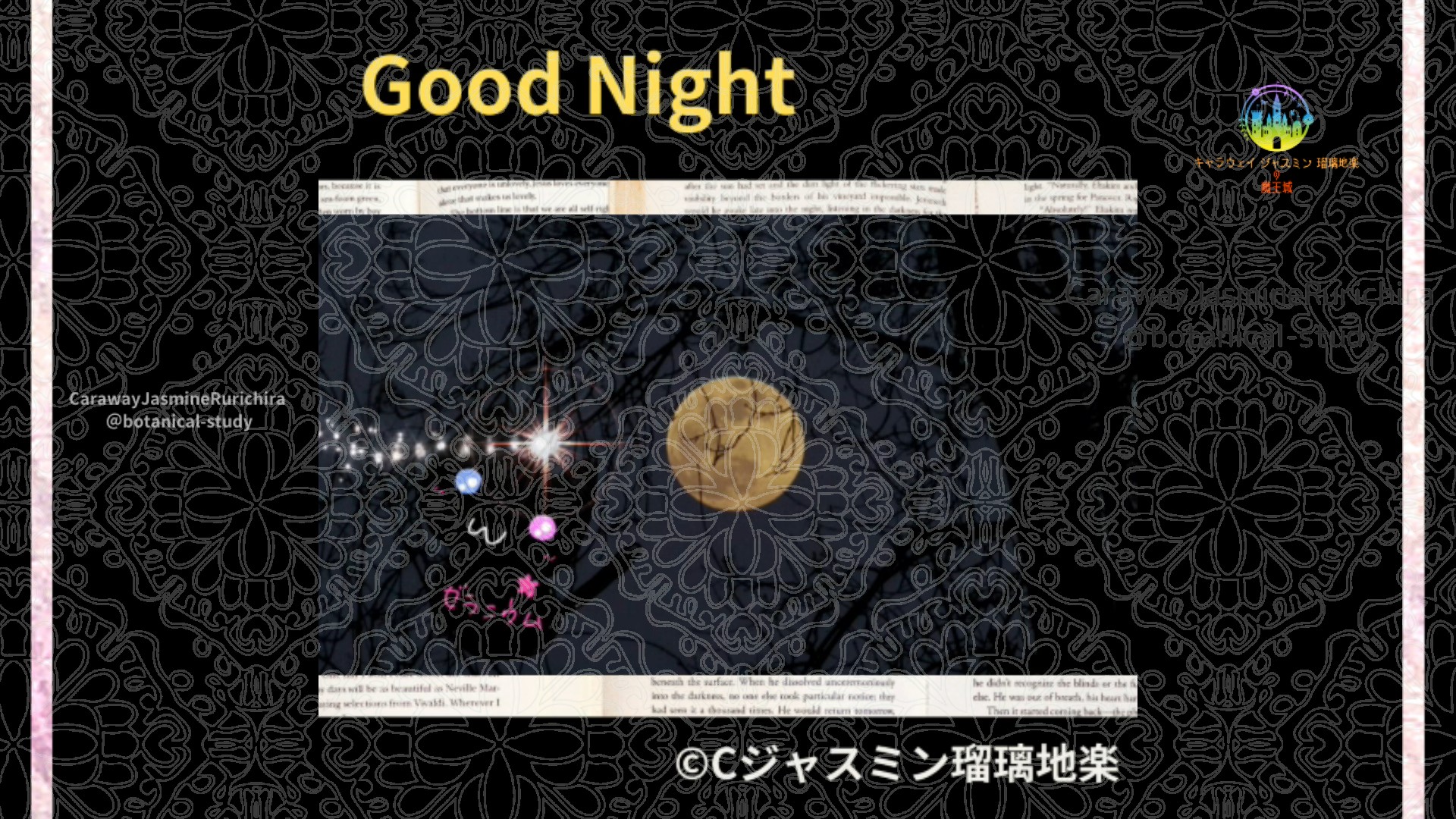 おやすみYE1 012＠botanical-study