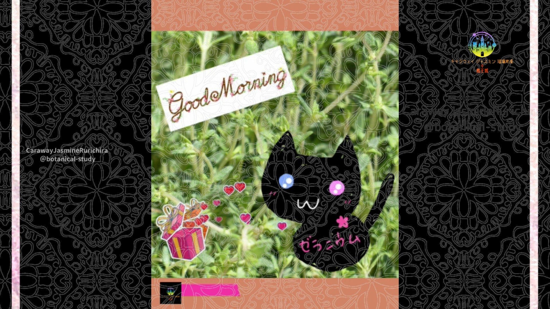 「タイム」6月18日Rゼラニウム瑠璃地楽と今日の誕生花とおはようメッセージ@botanical-study