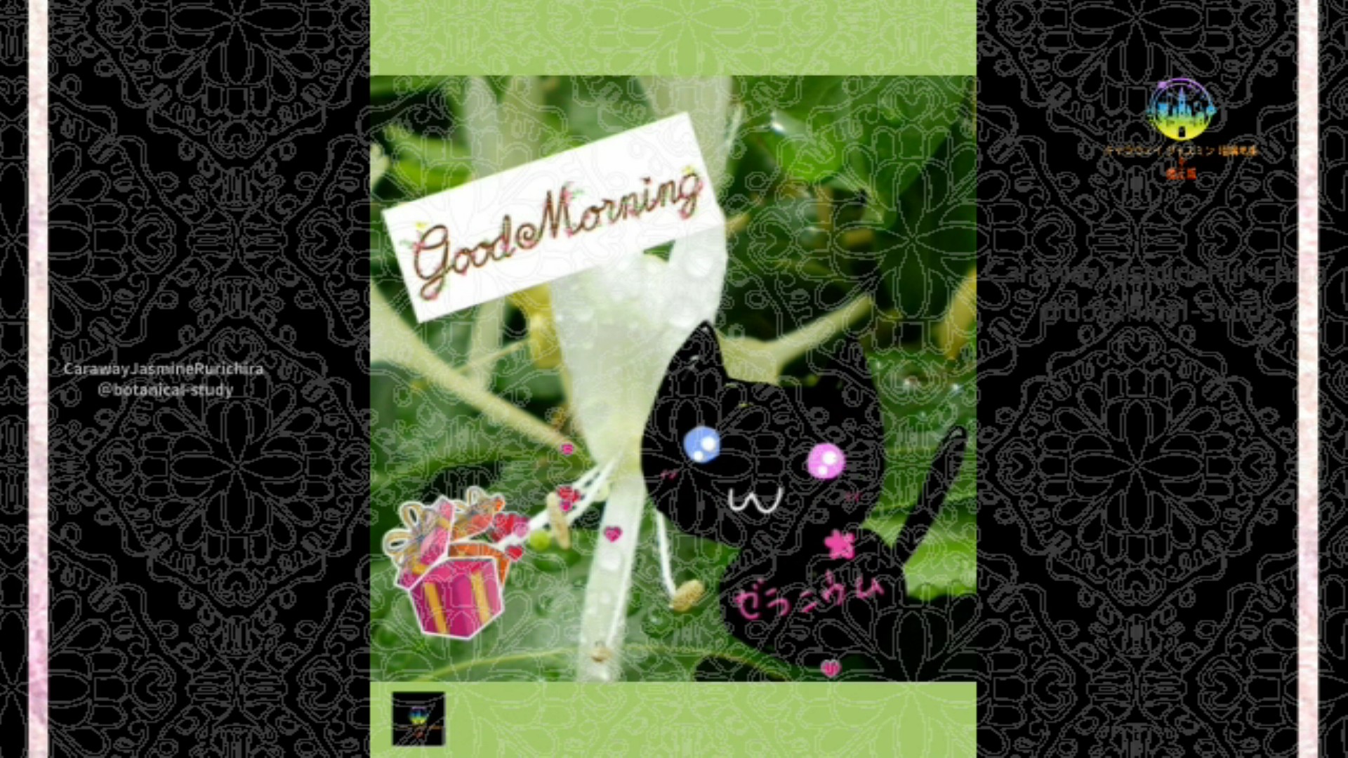 「スイカズラ」6月22日Rゼラニウム瑠璃地楽と今日の誕生花とおはようメッセージ@botanical-study