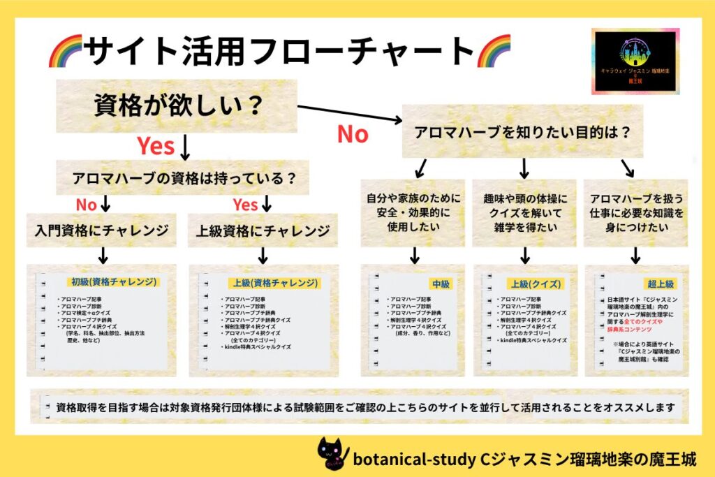 アロマハーブ学習資格取得勉強フローチャート@botanical-study
