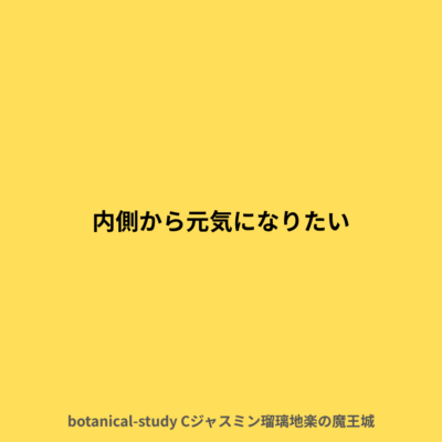 体の内側から元気になりたい