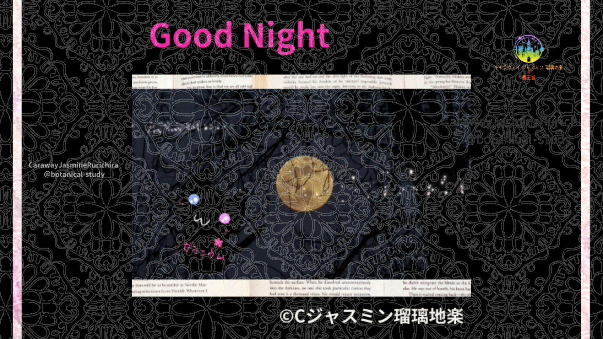 おやすみMP1 012＠botanical-study