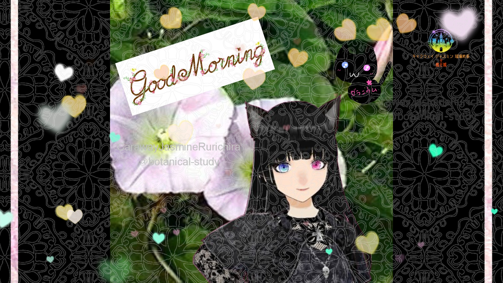 「ヒルガオ」とCジャスミン瑠璃地楽の今日の誕生花B-6月25日＠botanical-study