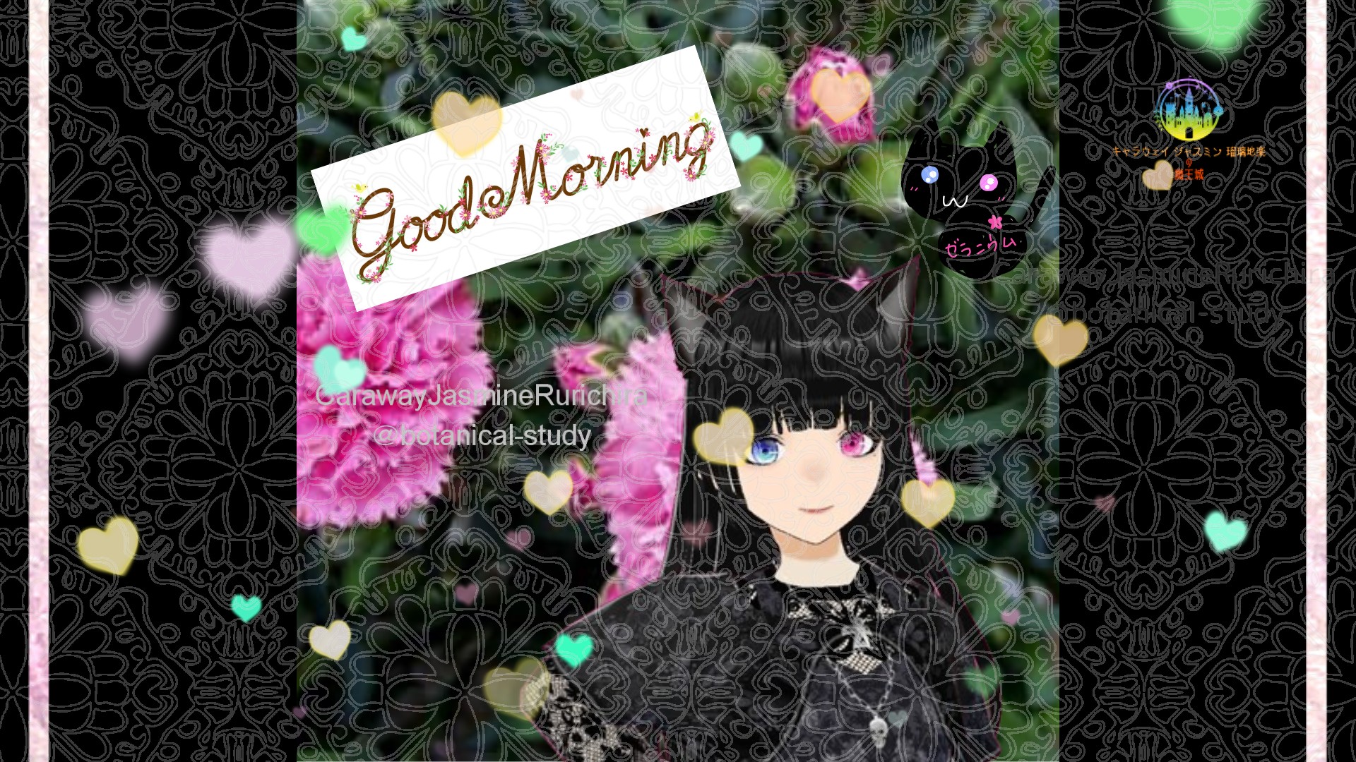 「カーネーション」とCジャスミン瑠璃地楽の今日の誕生花B-6月15日＠botanical-study