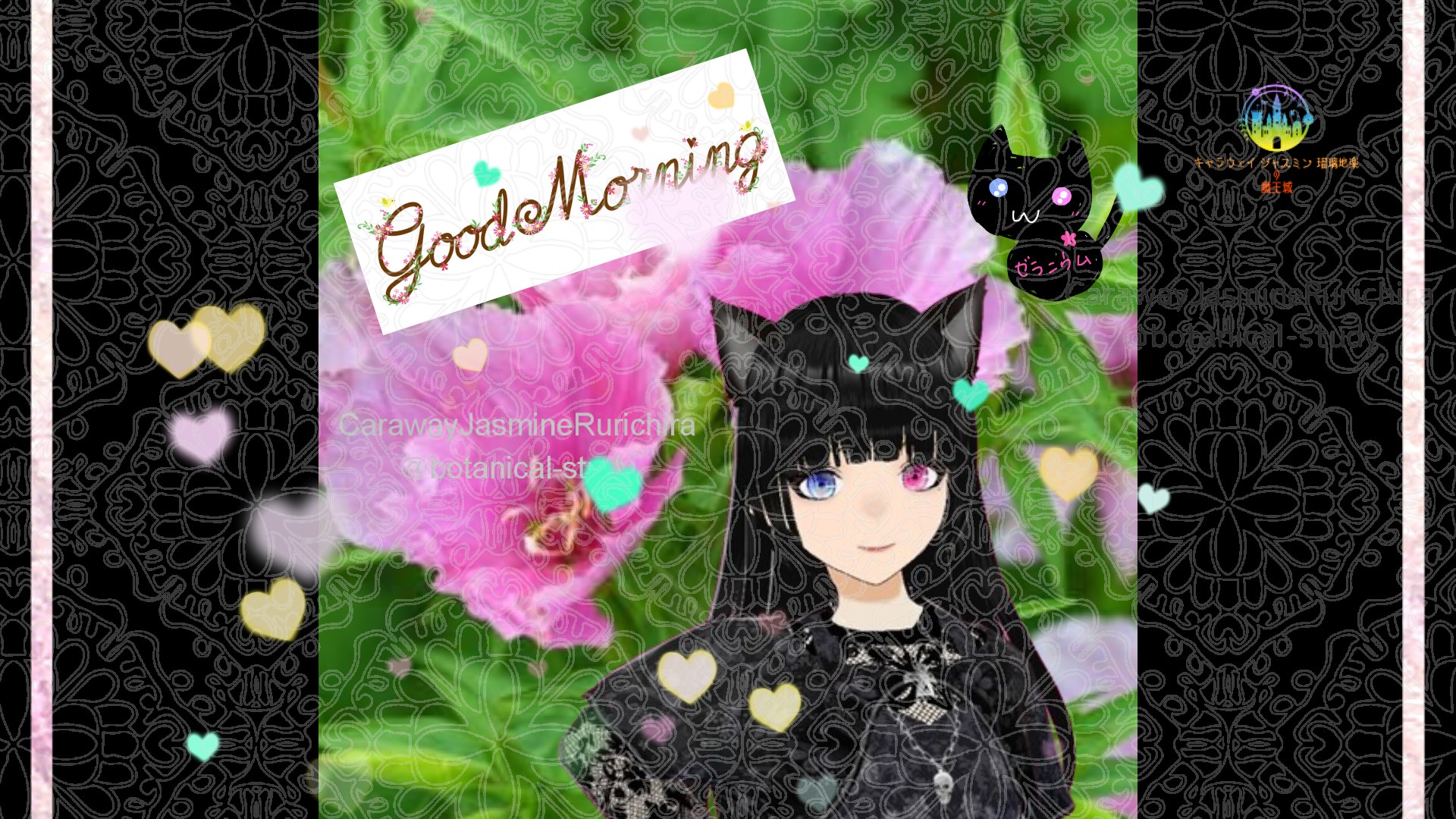 「ゴデチア」とCジャスミン瑠璃地楽の今日の誕生花B-6月18日@botanical-study