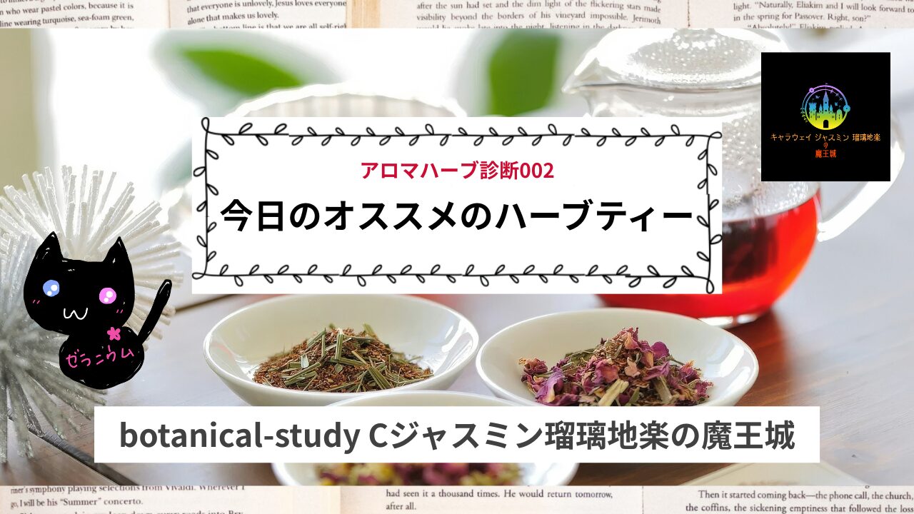 002:今日のオススメのハーブティーは？【アロマハーブ診断】