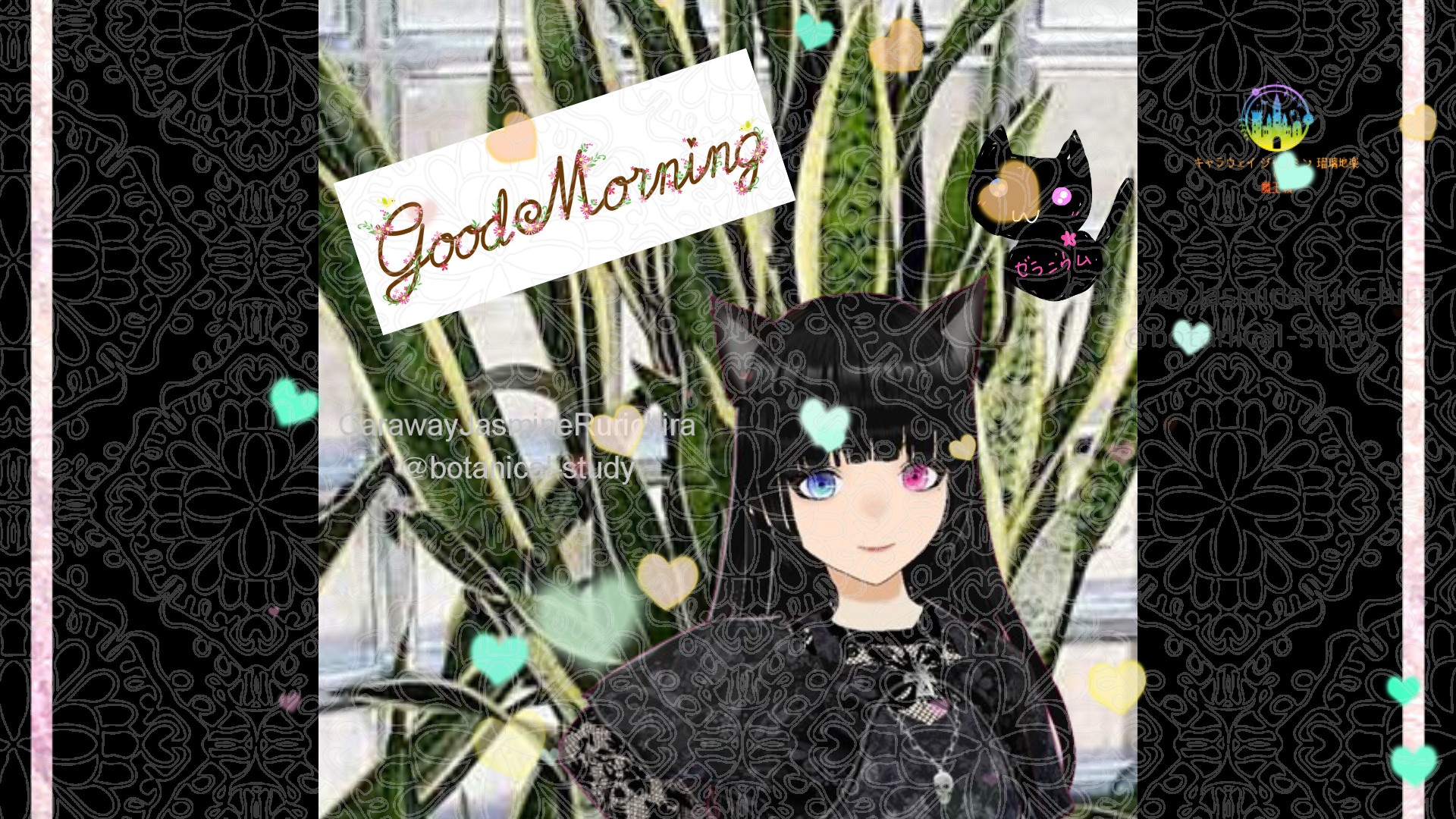 「トラノオ」とCジャスミン瑠璃地楽の今日の誕生花B-6月19日＠botanical-study