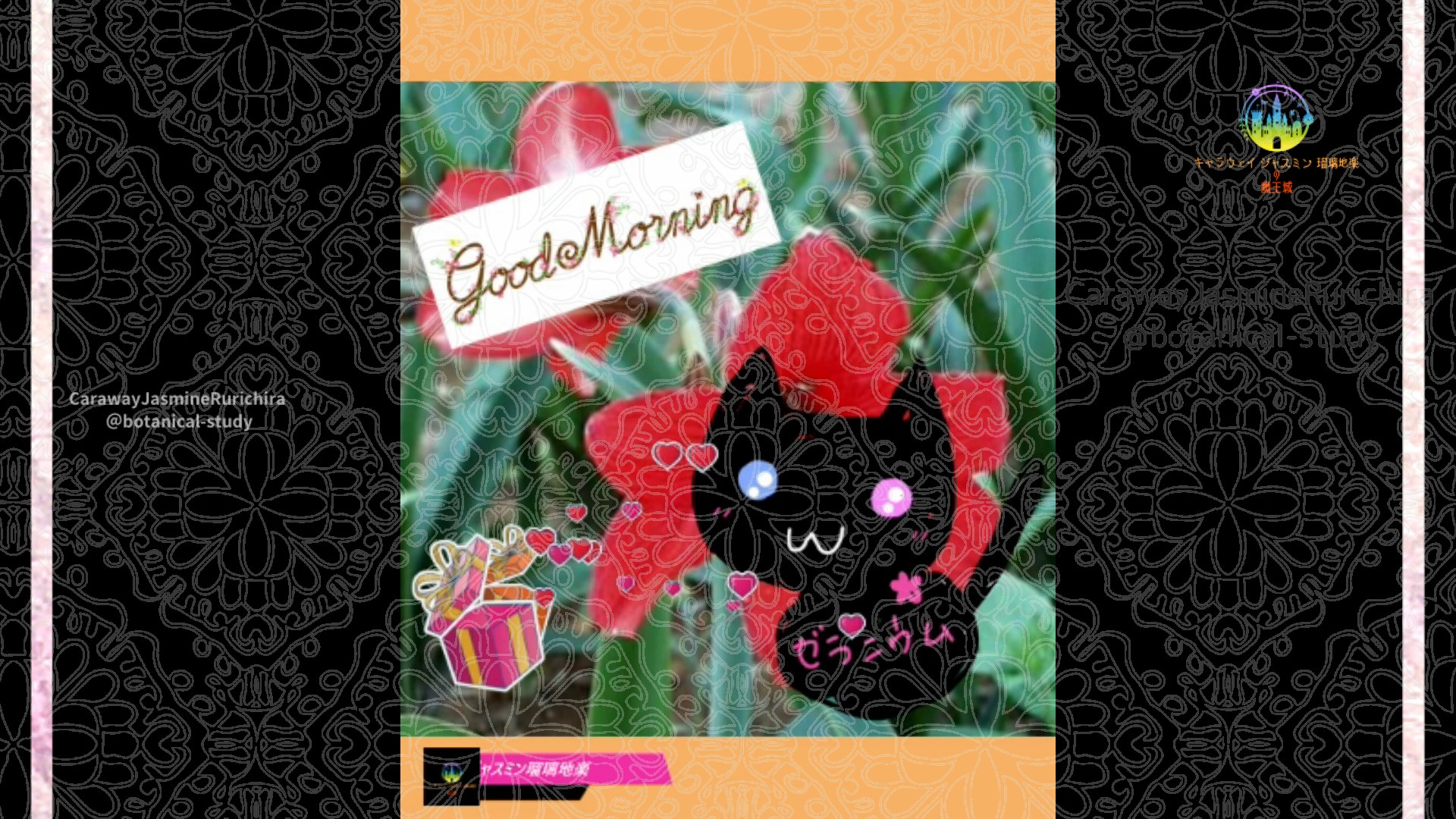 「アマリリス」6月21日Rゼラニウム瑠璃地楽と今日の誕生花とおはようメッセージ@botanical-study