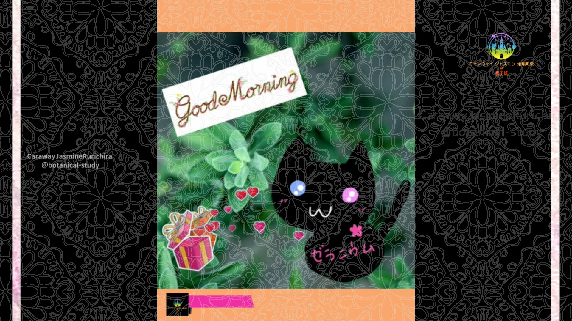 「タイム」6月3日Rゼラニウム瑠璃地楽と今日の誕生花とおはようメッセージ@botanical-study