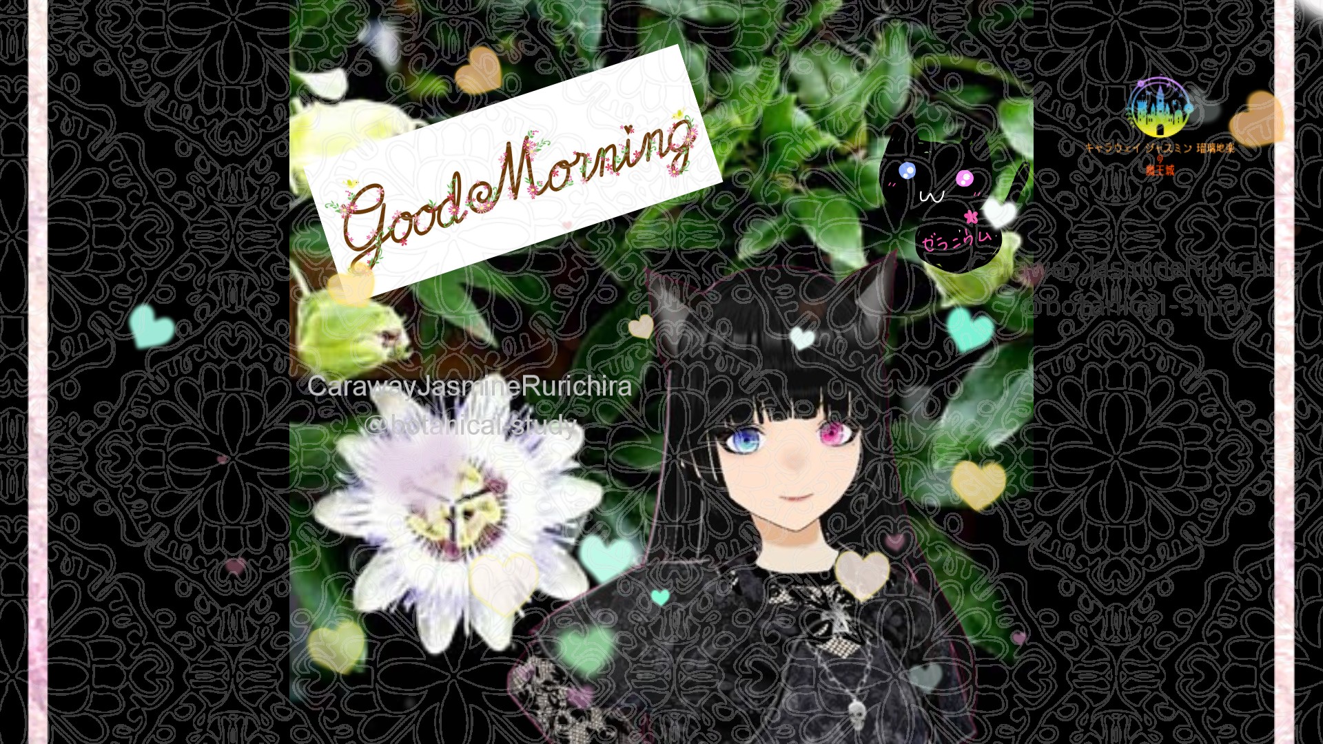 「トケイソウ」とCジャスミン瑠璃地楽の今日の誕生花B-6月27日＠botanical-study