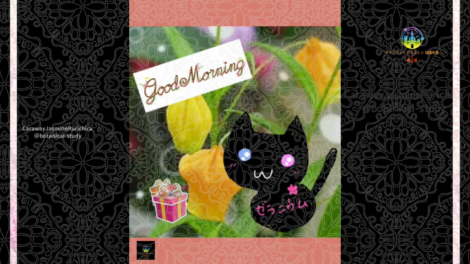 「サンダーソニア」6月27日Rゼラニウム瑠璃地楽と今日の誕生花とおはようメッセージ@botanical-study