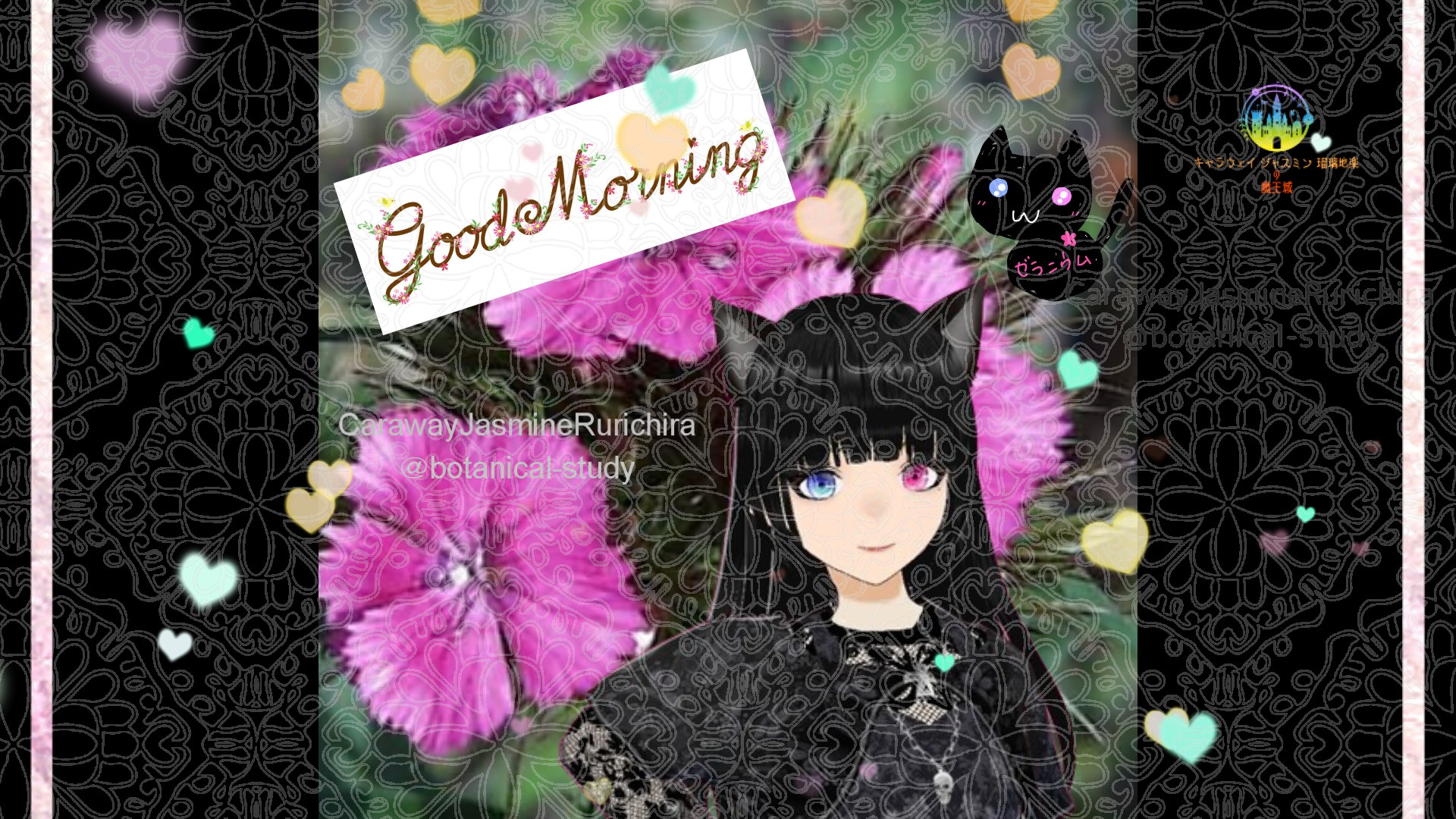 「ヒゲナデシコ」とCジャスミン瑠璃地楽の今日の誕生花B-6月10日＠botanical-study