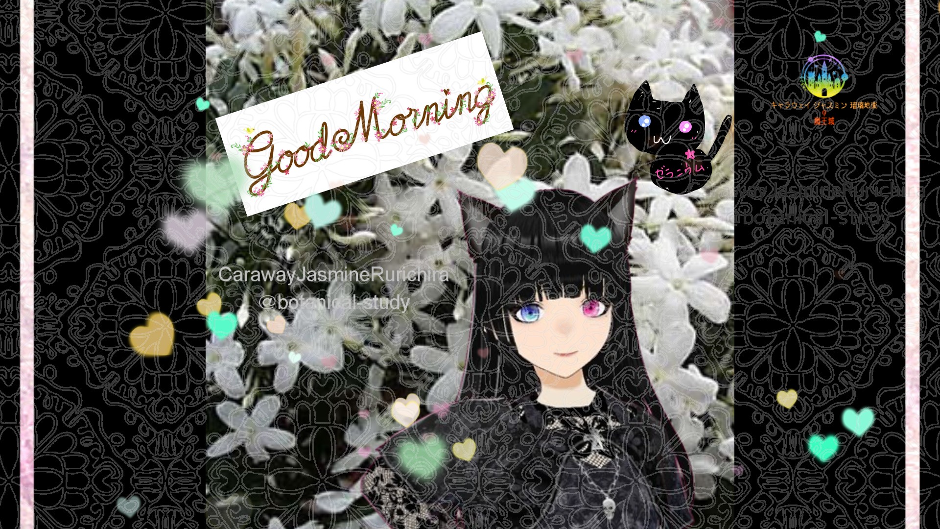 「ジャスミン」とCジャスミン瑠璃地楽の今日の誕生花B-6月8日＠botanical-study