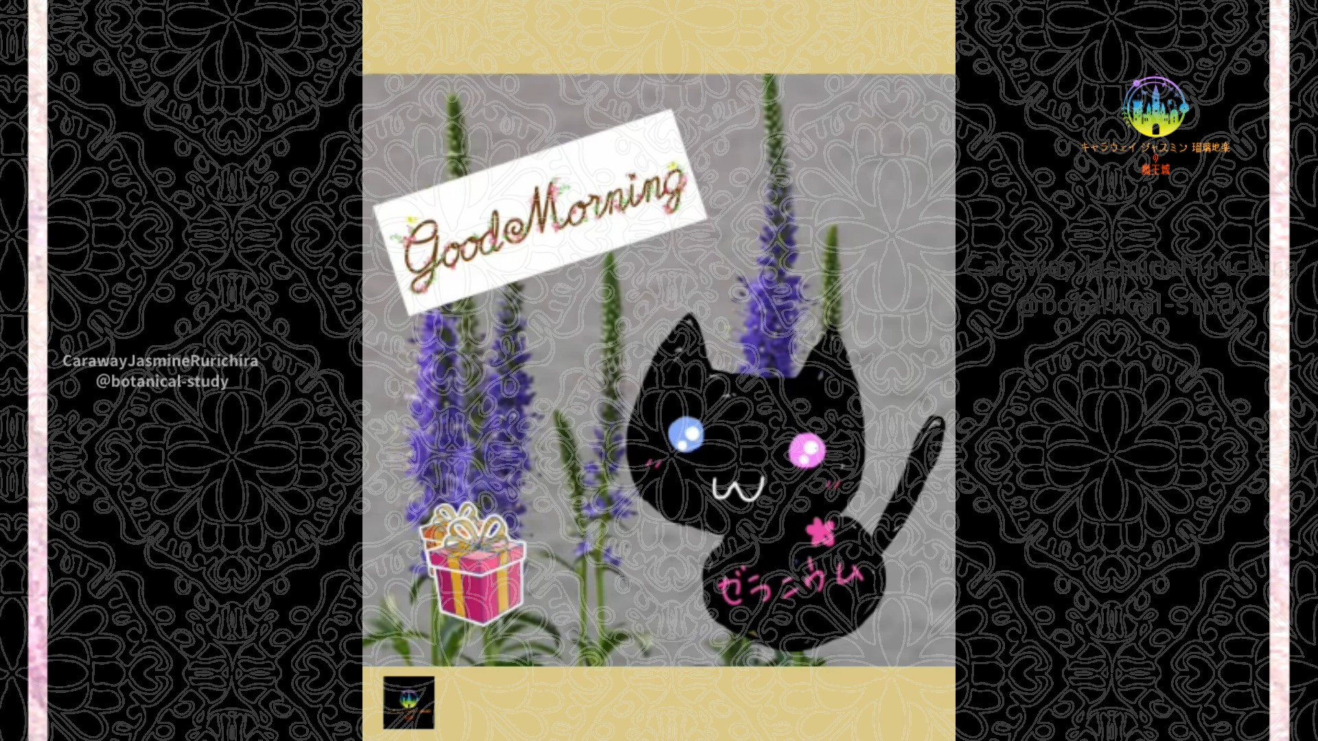 「ベロニカ」6月16日Rゼラニウム瑠璃地楽と今日の誕生花とおはようメッセージ@botanical-study