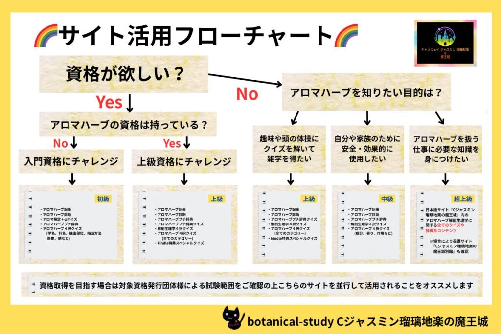 アロマハーブ学習&クイズフローチャート@botanical-study