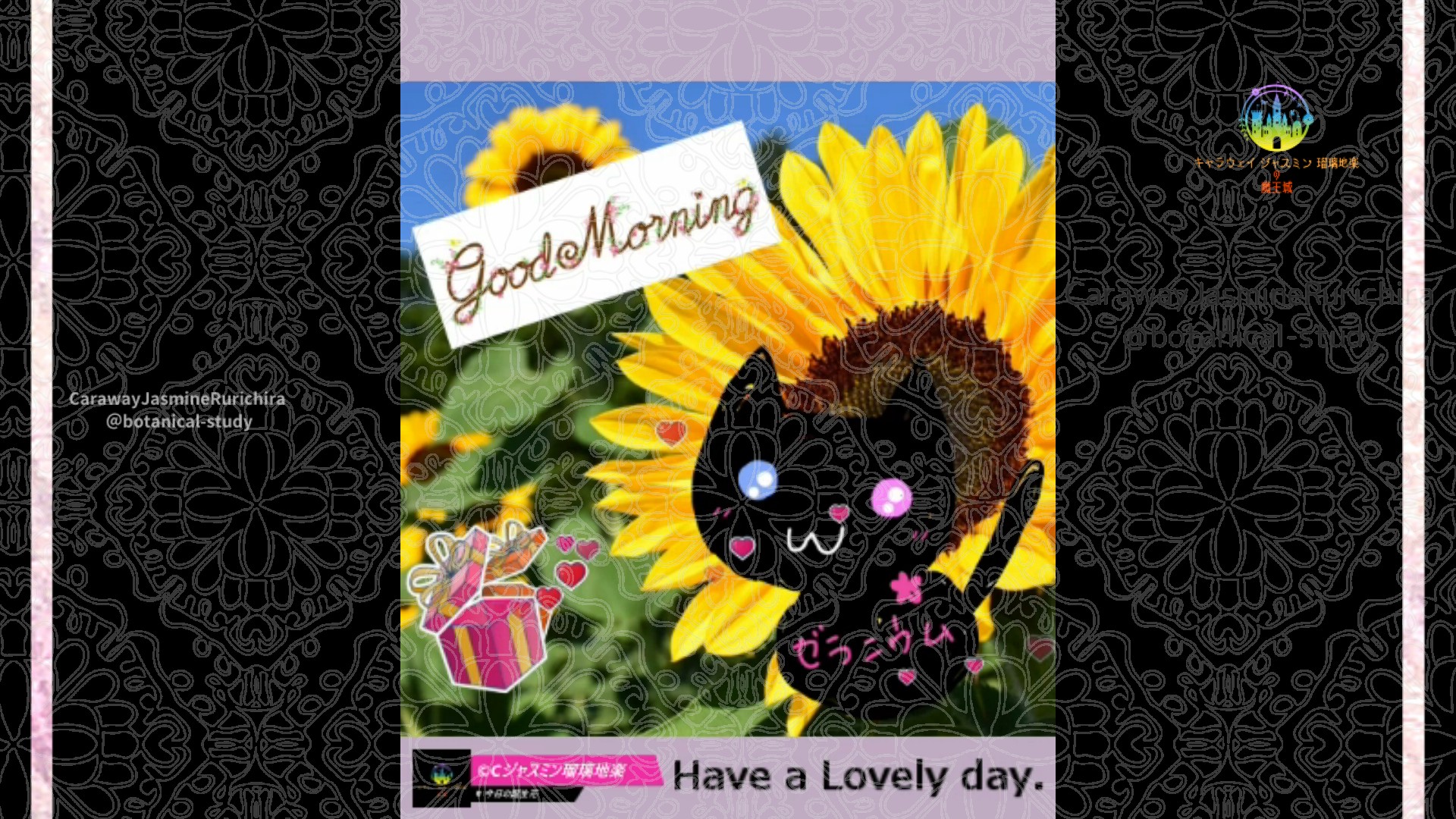 「」7月6日Rゼラニウム瑠璃地楽と今日の誕生花とおはようメッセージ@botanical-study