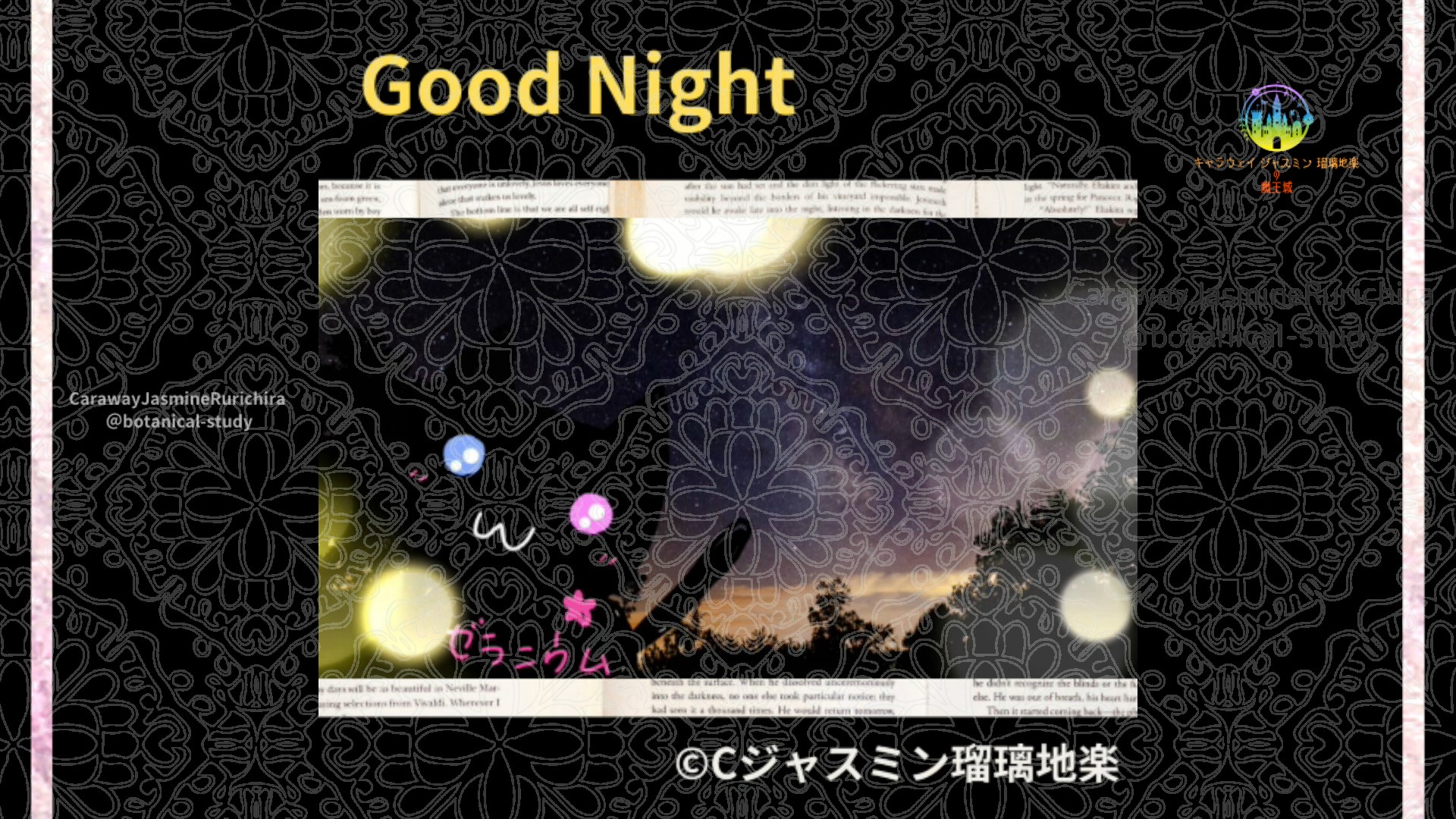 おやすみYE1 015＠botanical-study