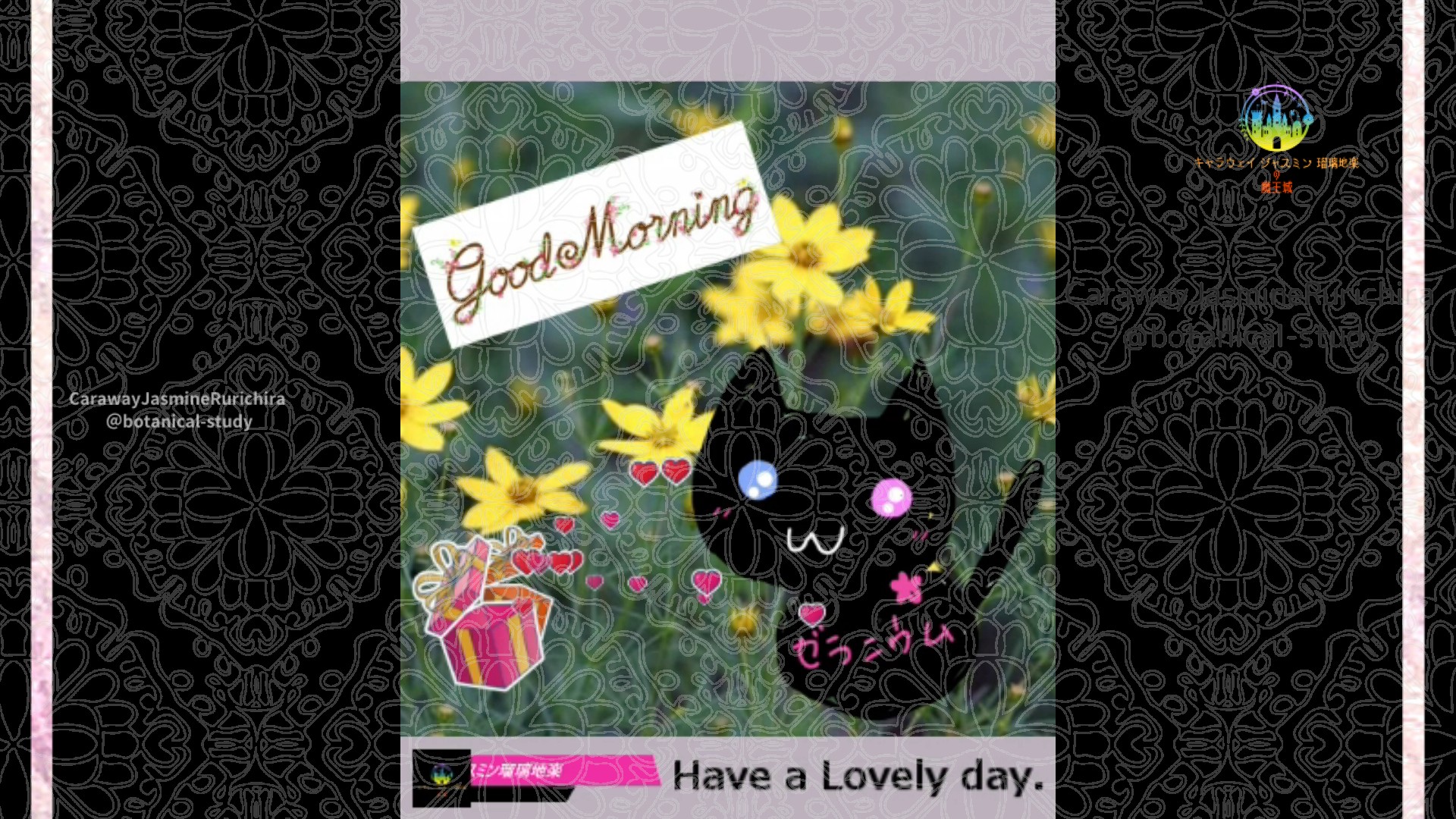「コレオプシス」7月19日Rゼラニウム瑠璃地楽と今日の誕生花とおはようメッセージ@botanical-study