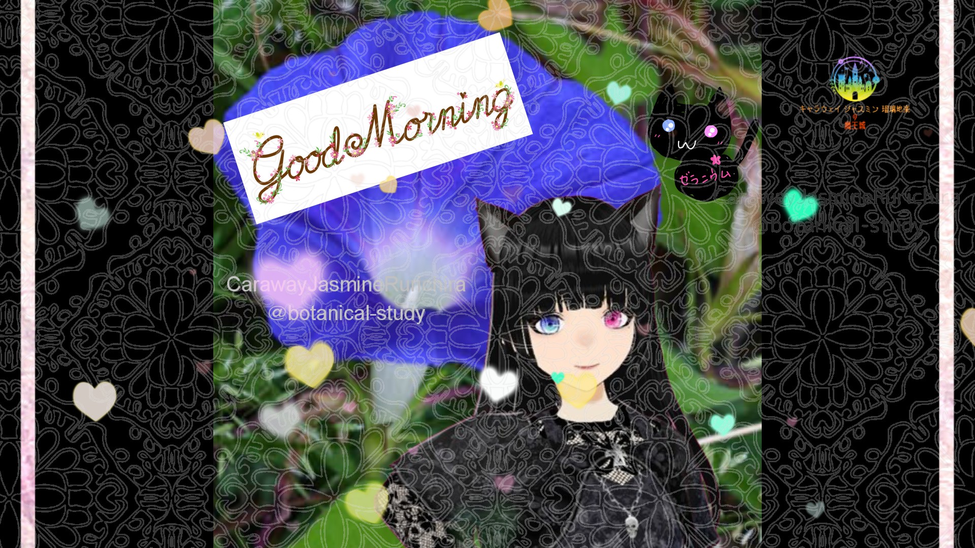 「アサガオ」とCジャスミン瑠璃地楽の今日の誕生花B-7月6日@botanical-study