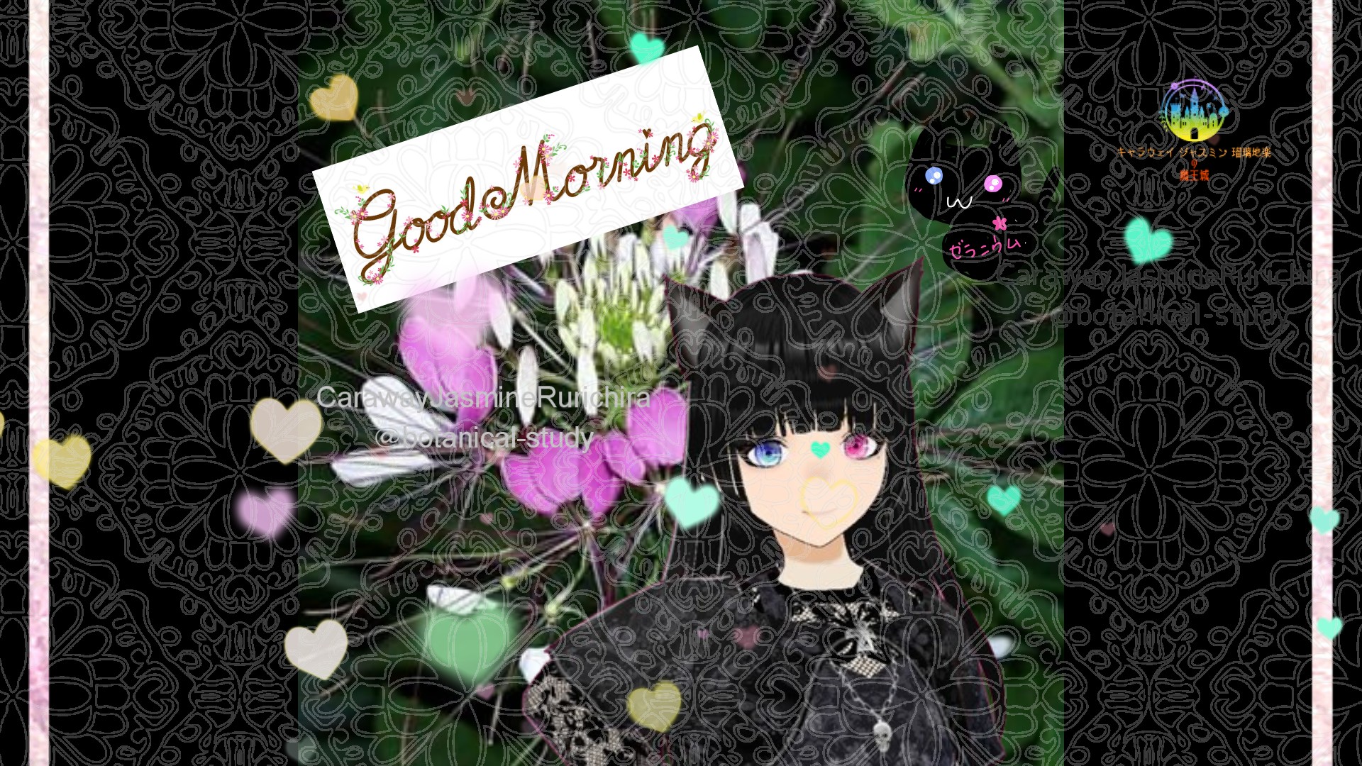 「クレオメ」とCジャスミン瑠璃地楽の今日の誕生花B-7月5日＠botanical-study