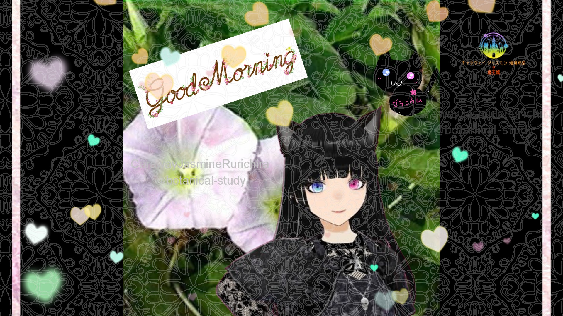 「ヒルガオ」とCジャスミン瑠璃地楽の今日の誕生花B-7月17日＠botanical-study