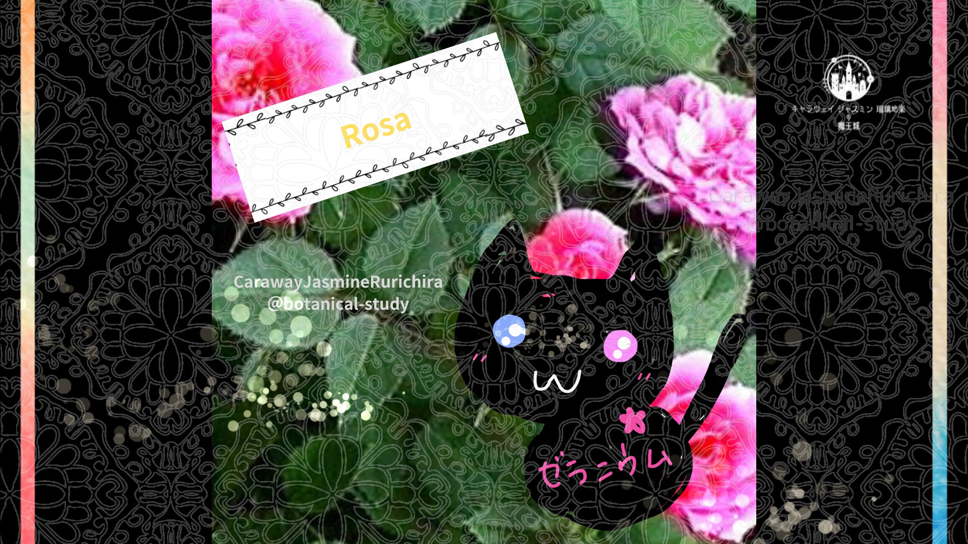 今日の誕生花A　7.15