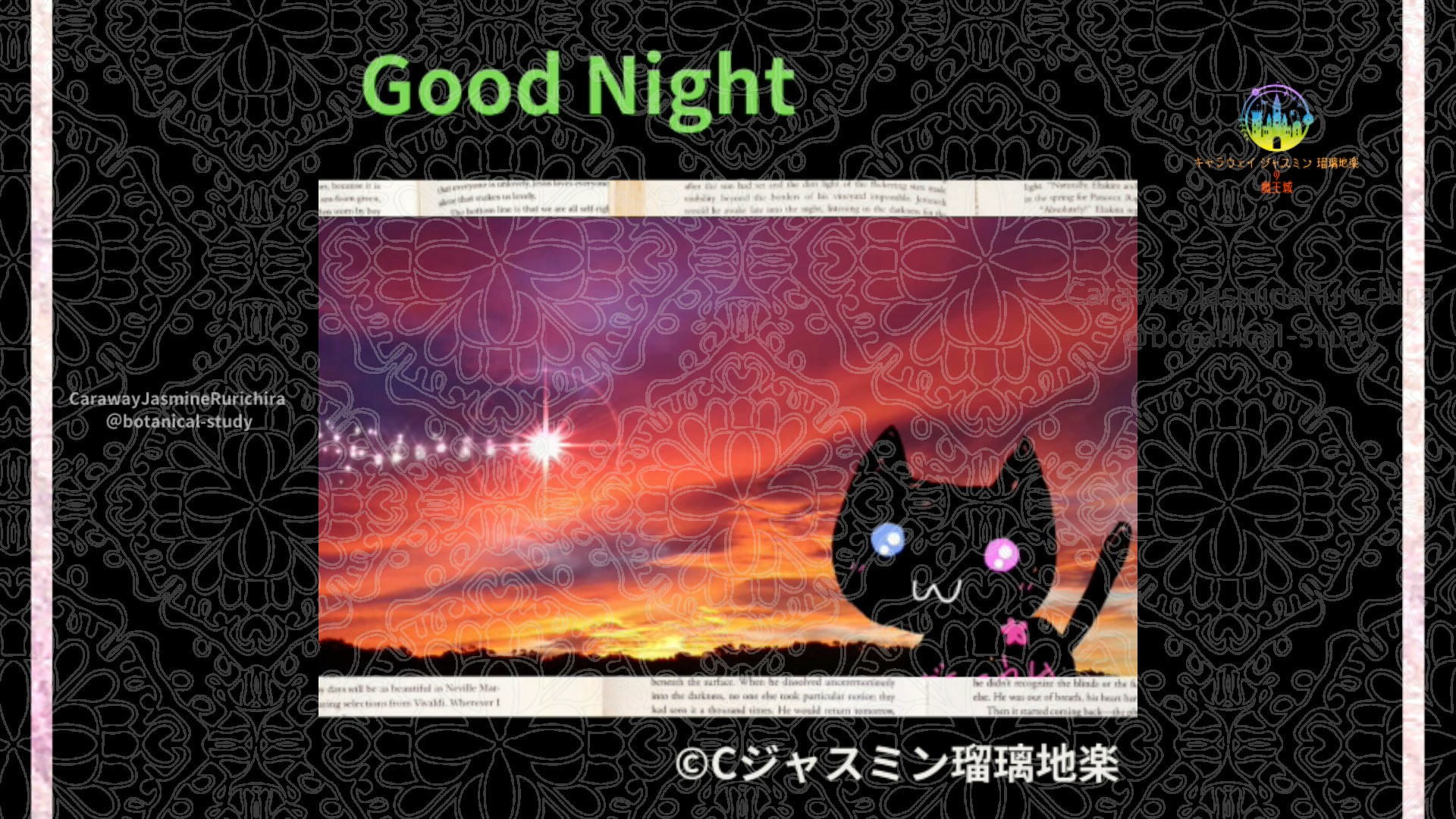 おやすみGR1 016＠botanical-study