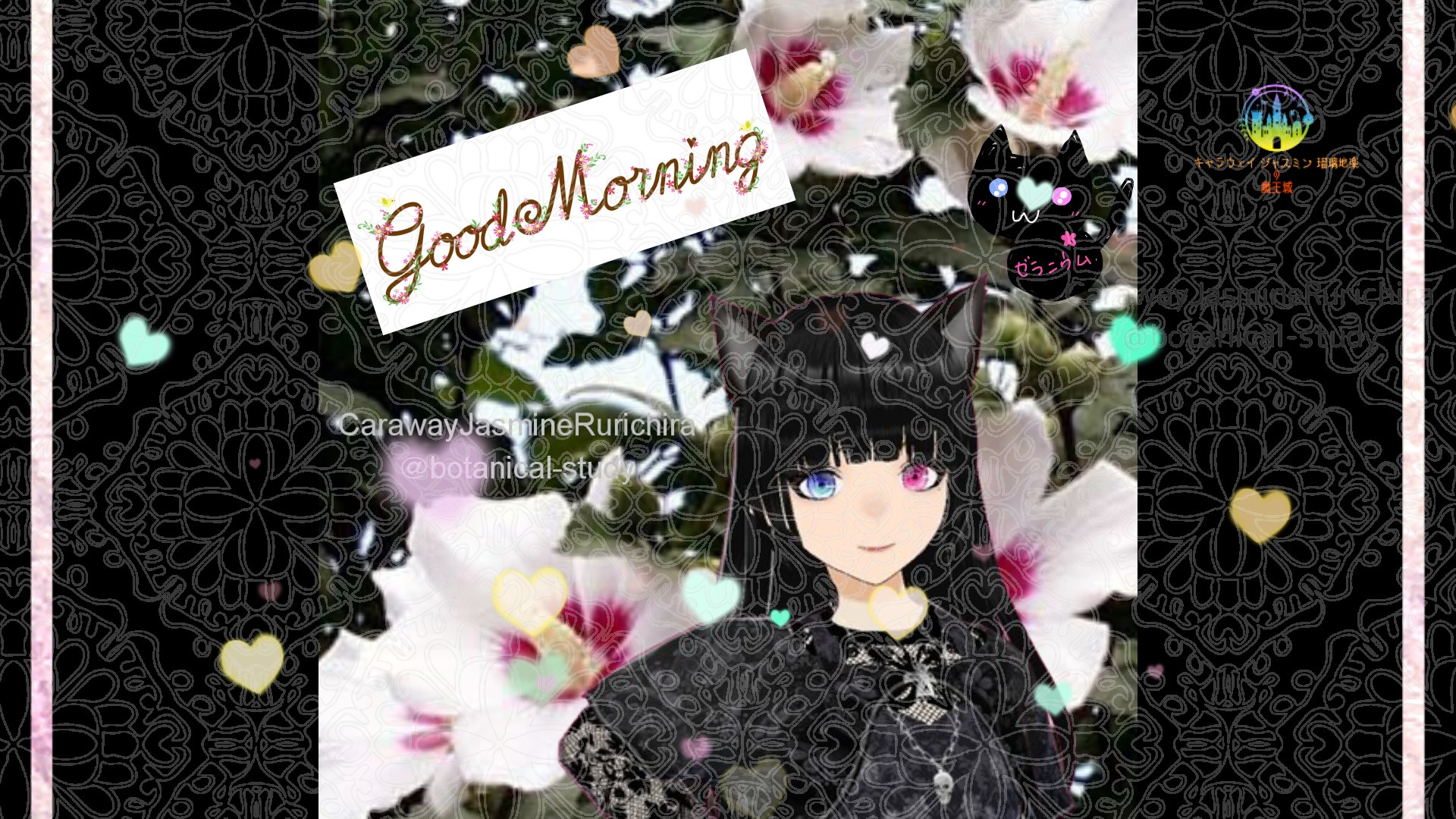 「ムクゲ」とCジャスミン瑠璃地楽の今日の誕生花B-8月26日＠botanical-study