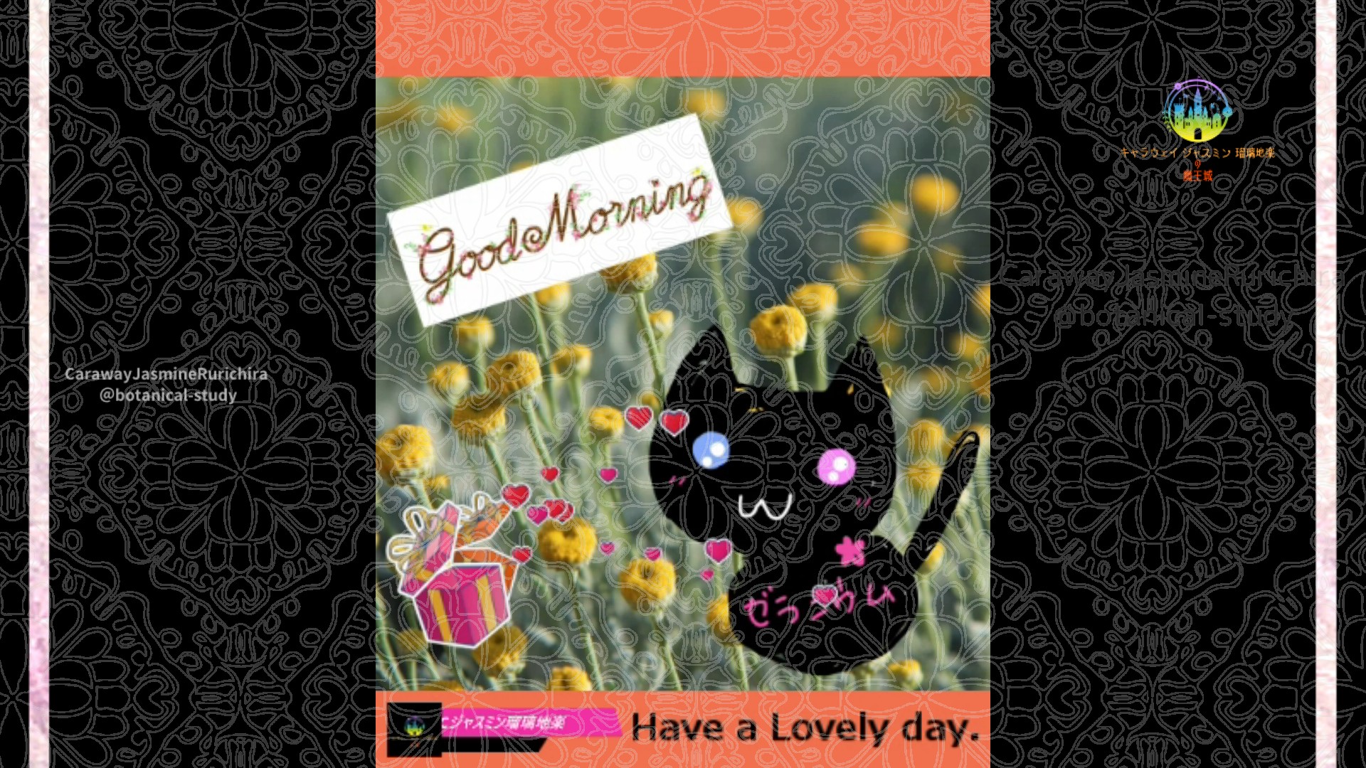 「サントリナ」8月3日Rゼラニウム瑠璃地楽と今日の誕生花とおはようメッセージ＠botanical-study