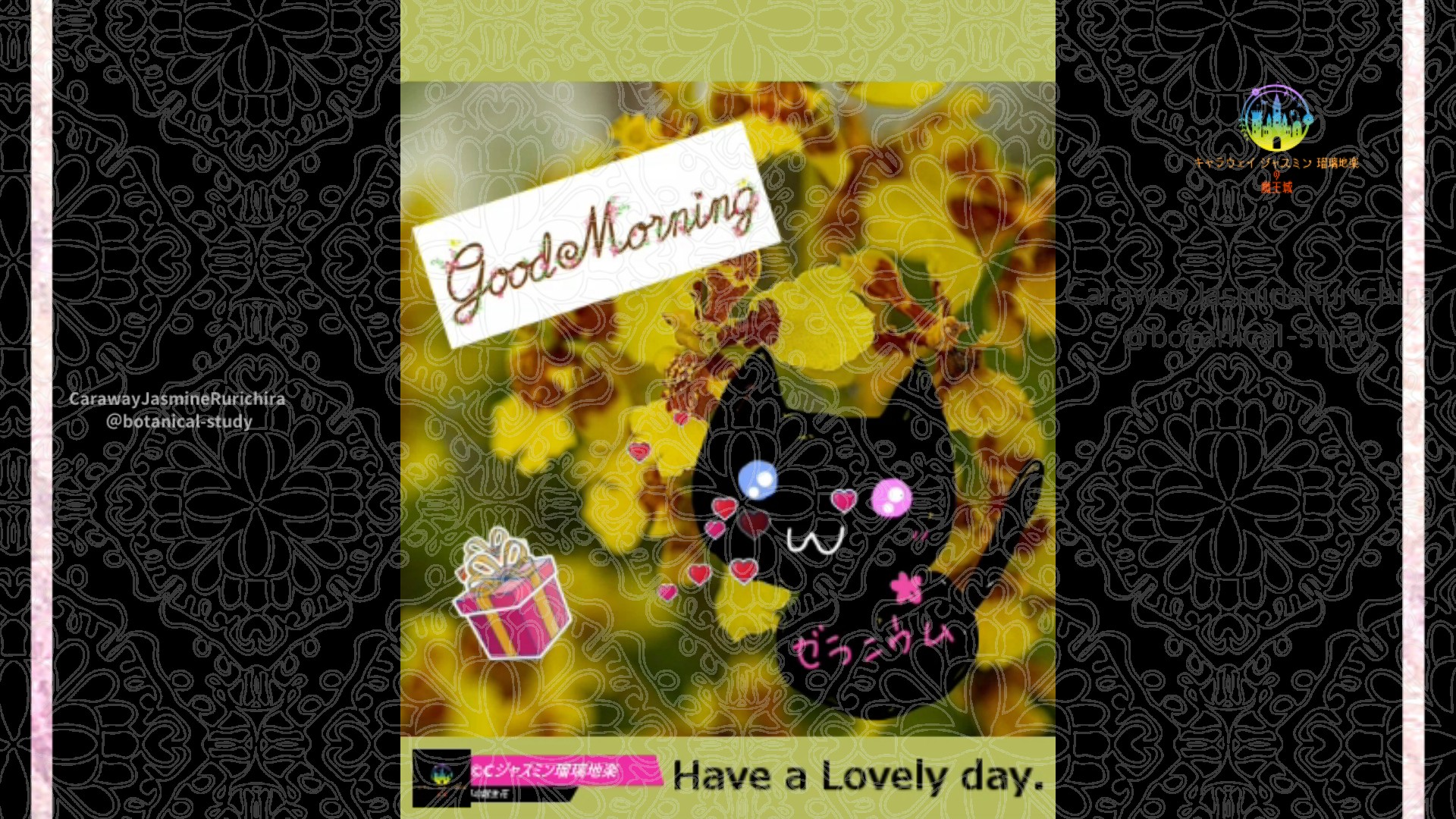 「オレンジウム」8月29日Rゼラニウム瑠璃地楽と今日の誕生花とおはようメッセージ@botanical-study