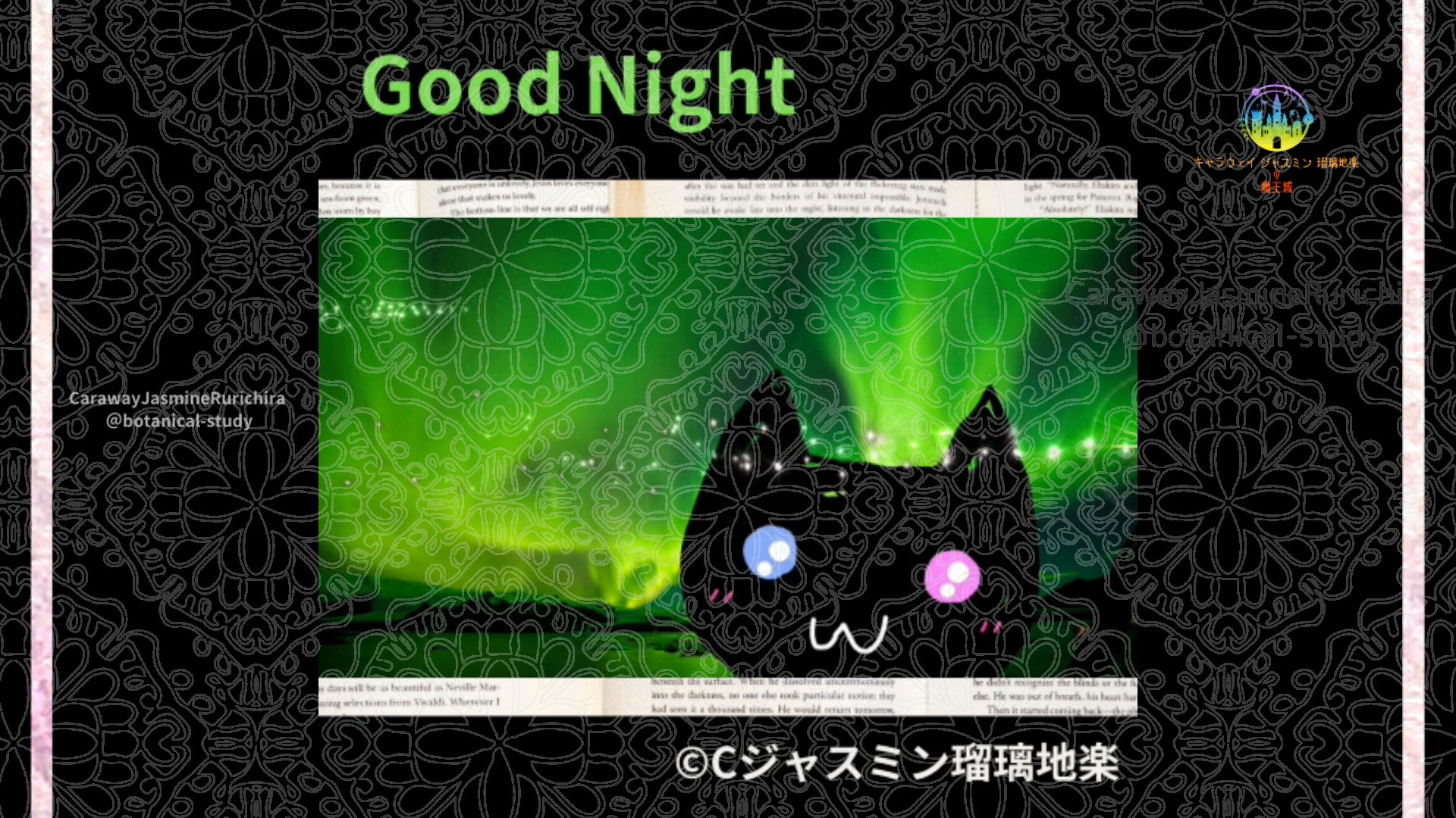 おやすみGR1 011＠botanical-study