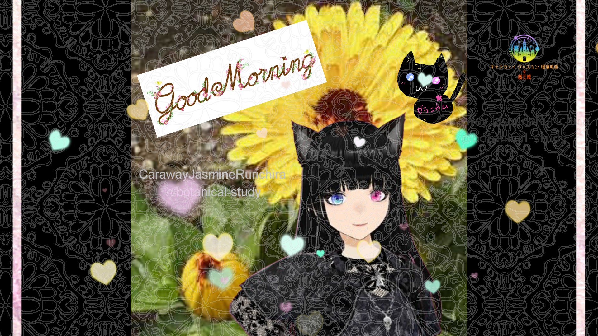 「キンセンカ」とCジャスミン瑠璃地楽の今日の誕生花B-8月24日＠botanical-study