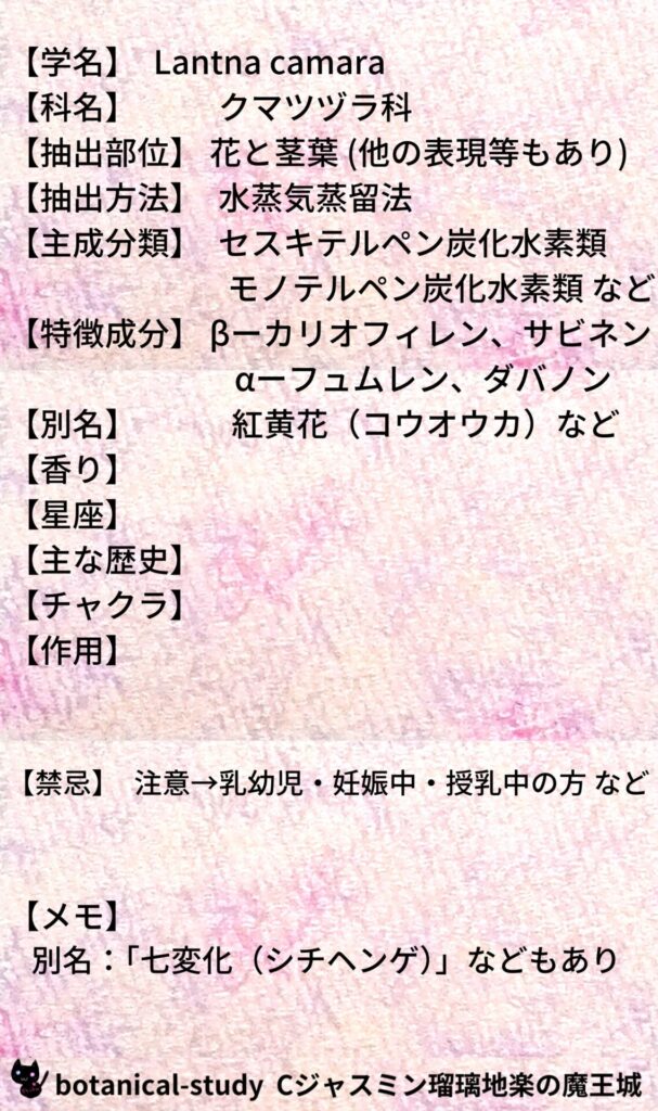 ランタナとCジャスミン瑠璃地楽のアロマハーブプチ辞典@botanical-study