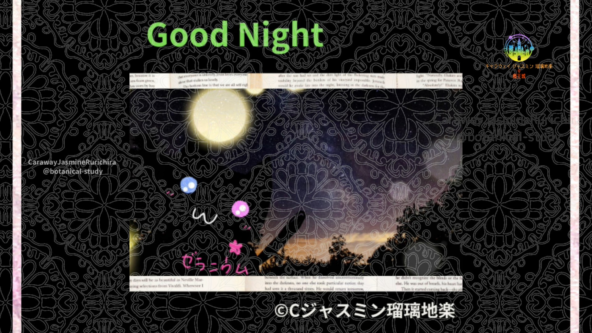 おやすみGR1 015＠botanical-study