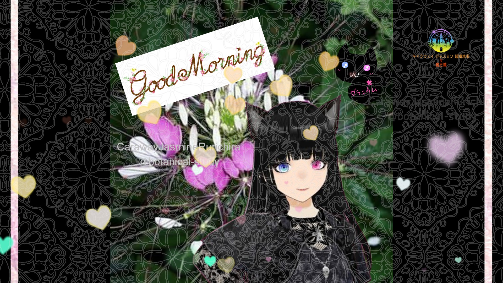 「クレオメ」とCジャスミン瑠璃地楽の今日の誕生花B-8月18日＠botanical-study