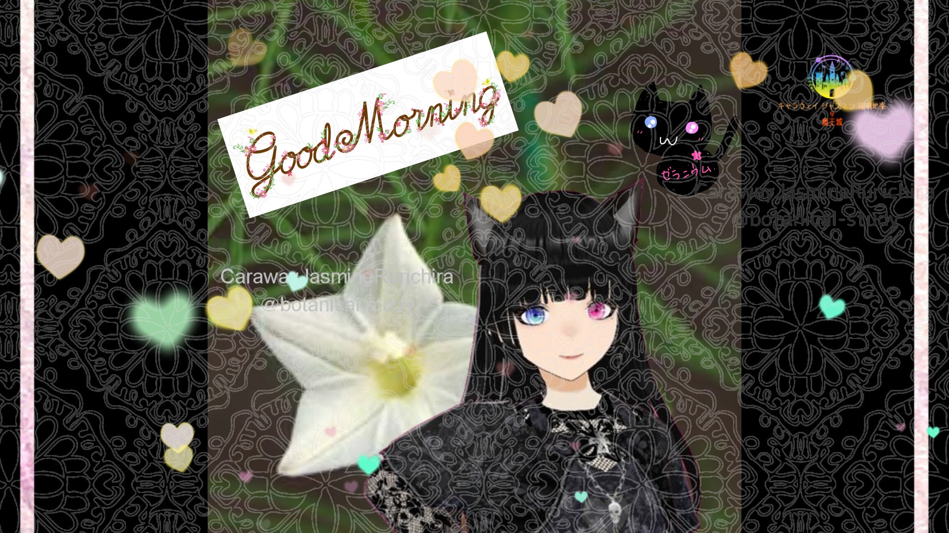 「ルコウソウ」とCジャスミン瑠璃地楽の今日の誕生花B-8月10日＠botanical-study