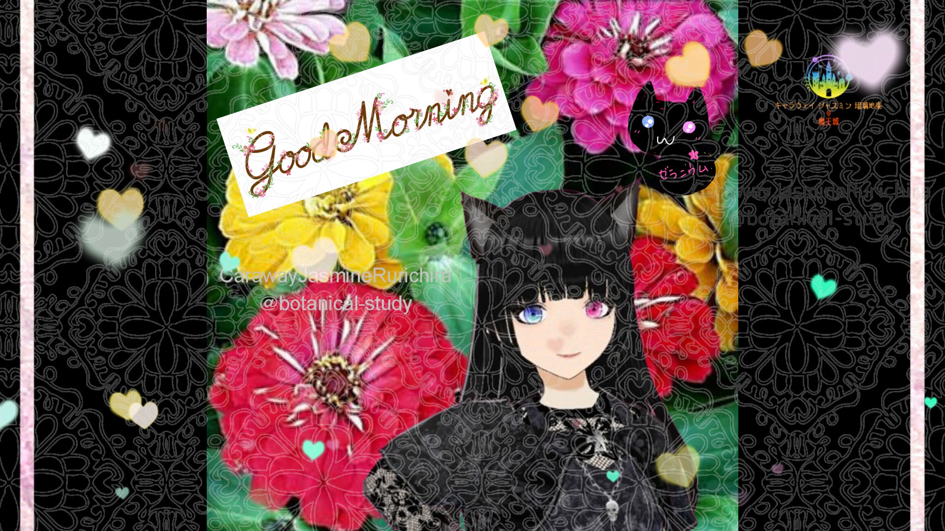 「ジニア」とCジャスミン瑠璃地楽の今日の誕生花B-8月6日＠botanical-study