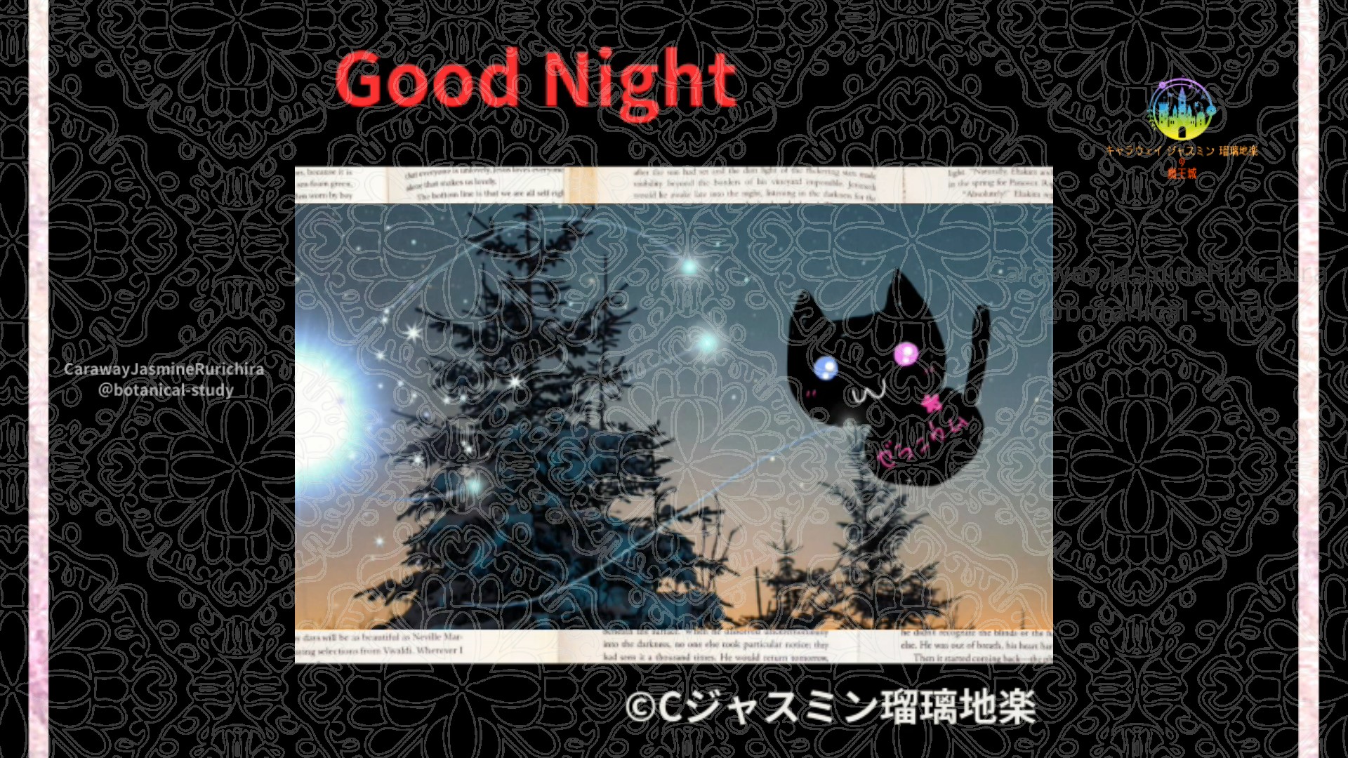 おやすみRD1 008＠botanical-study