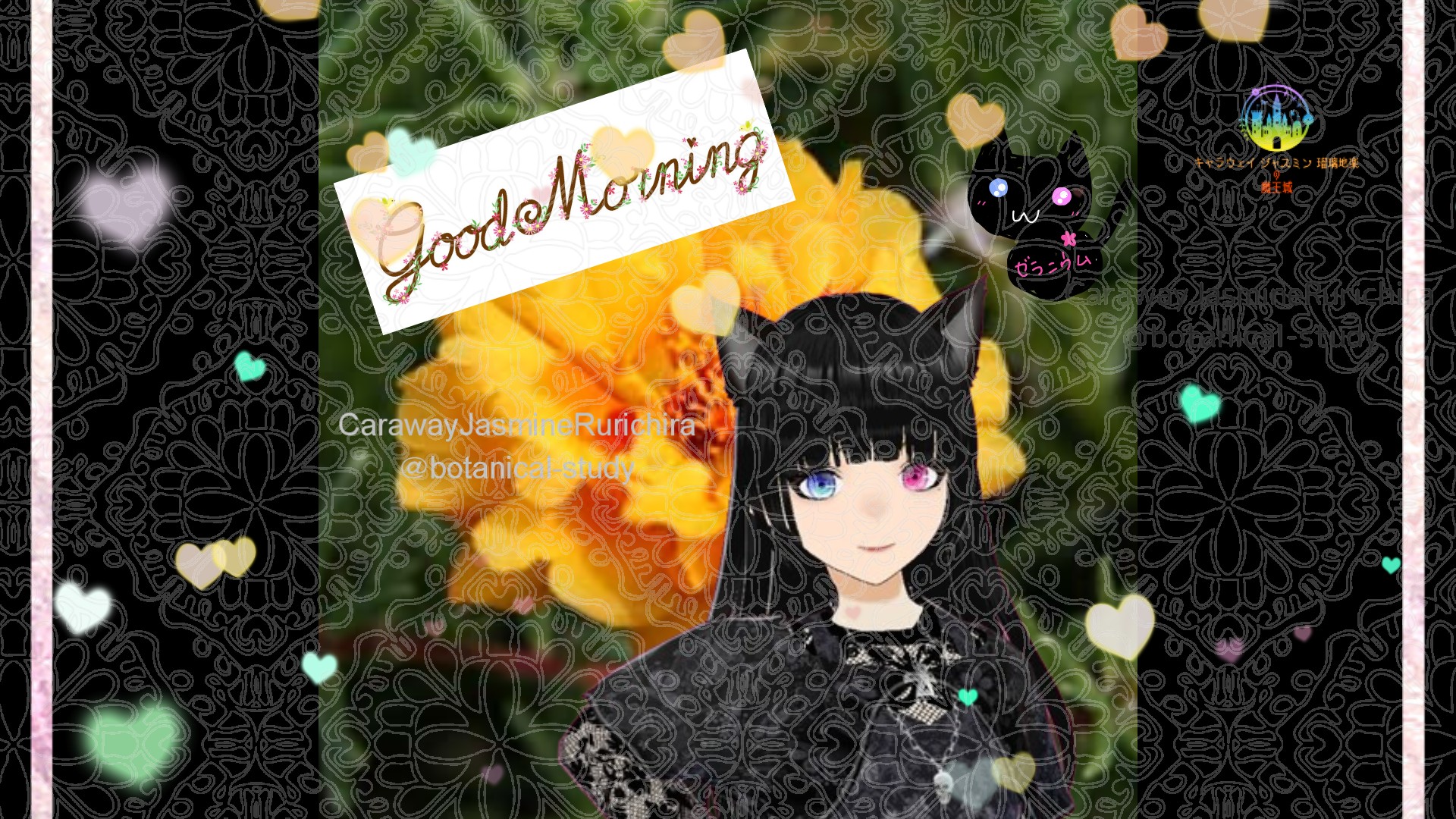 「マツバボタン」とCジャスミン瑠璃地楽の今日の誕生花B-8月3日＠botanical-study